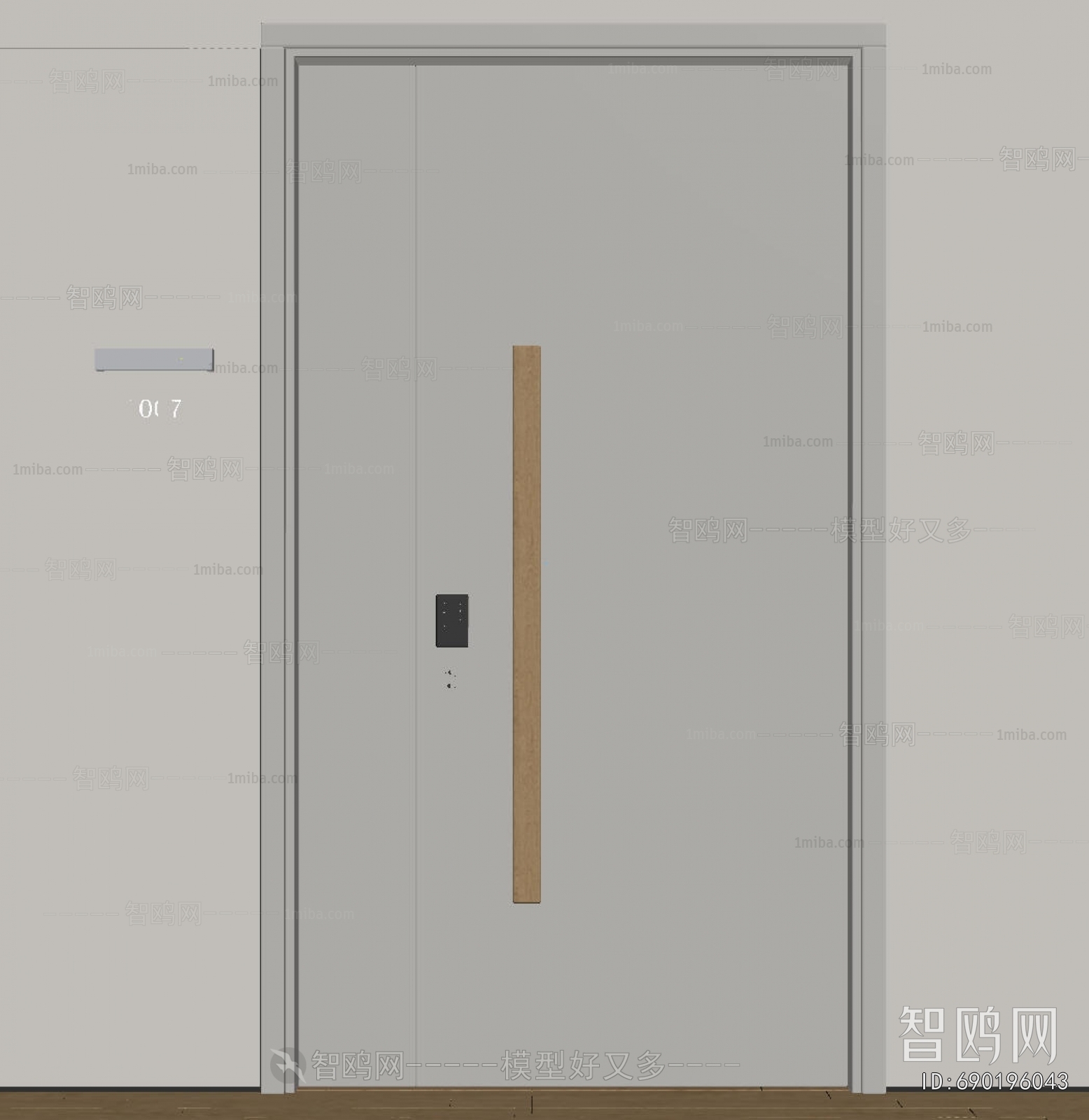 Modern Entrance Door
