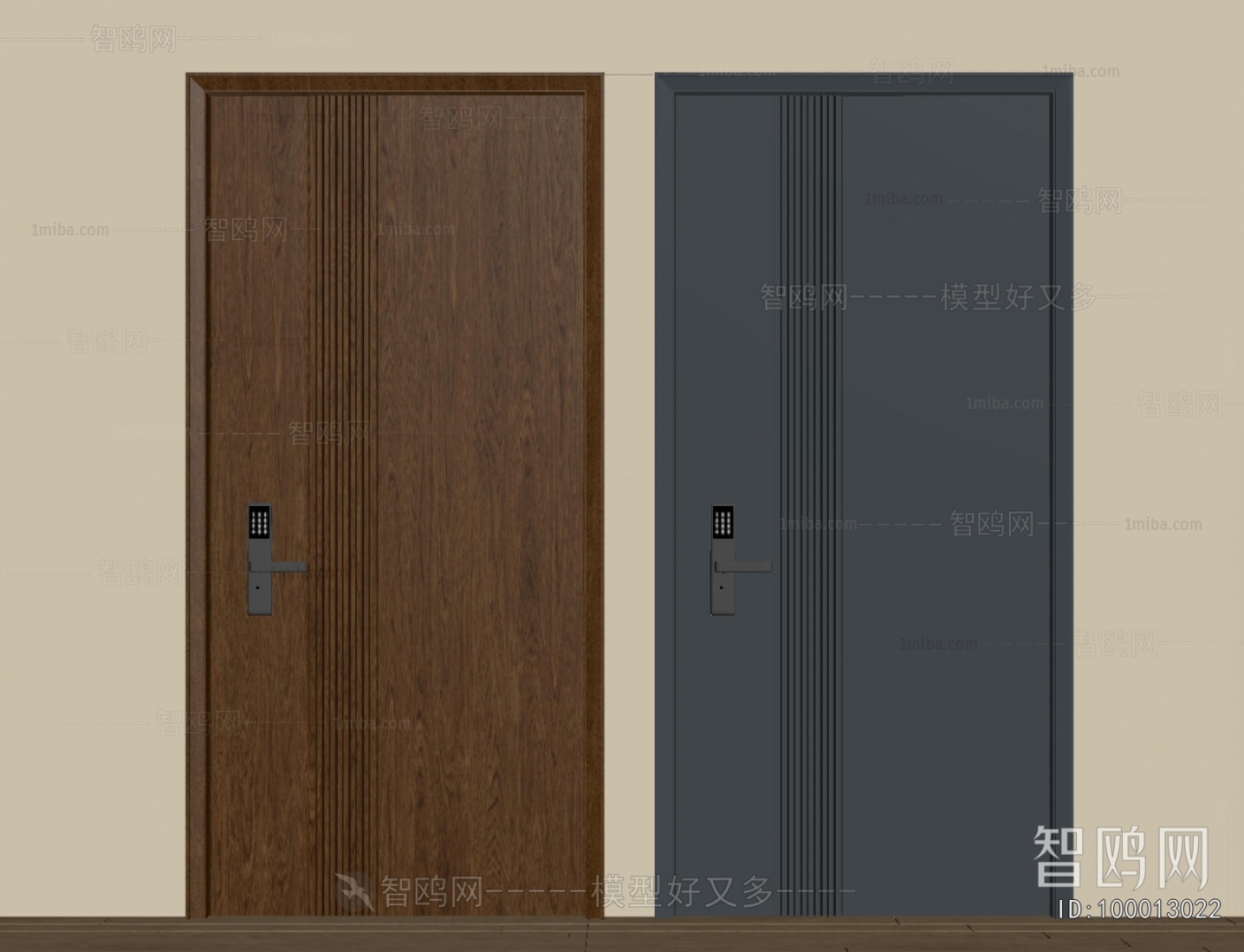 Modern Entrance Door