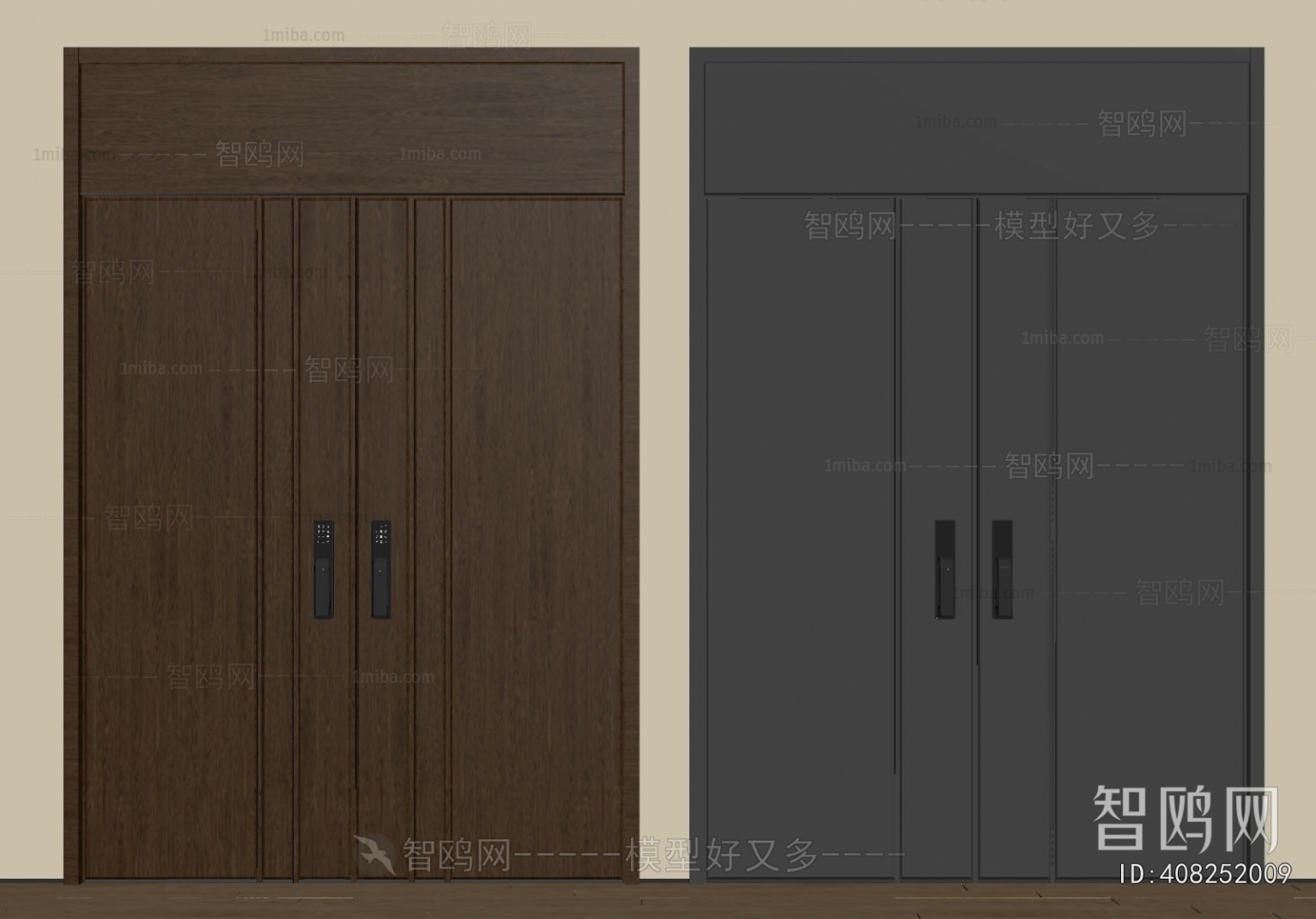 Modern Entrance Door