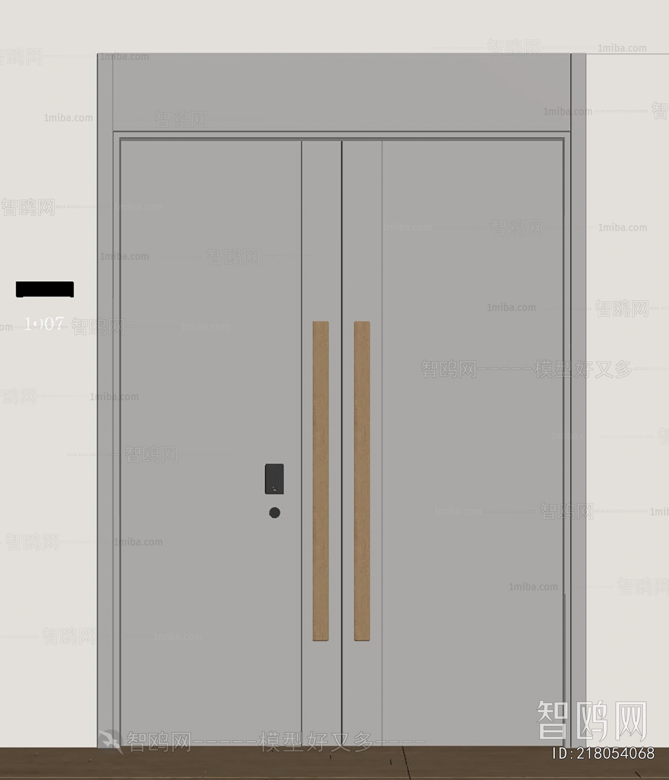 Modern Entrance Door