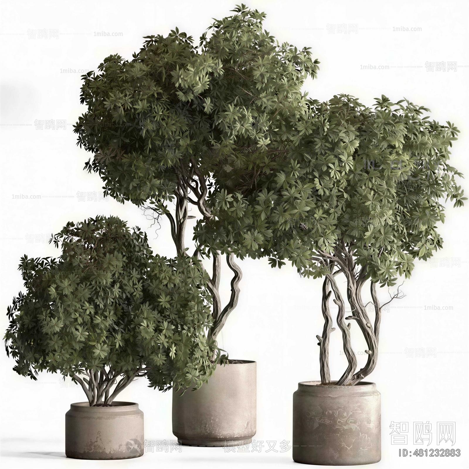 Modern Ground Green Plant Potted Plants