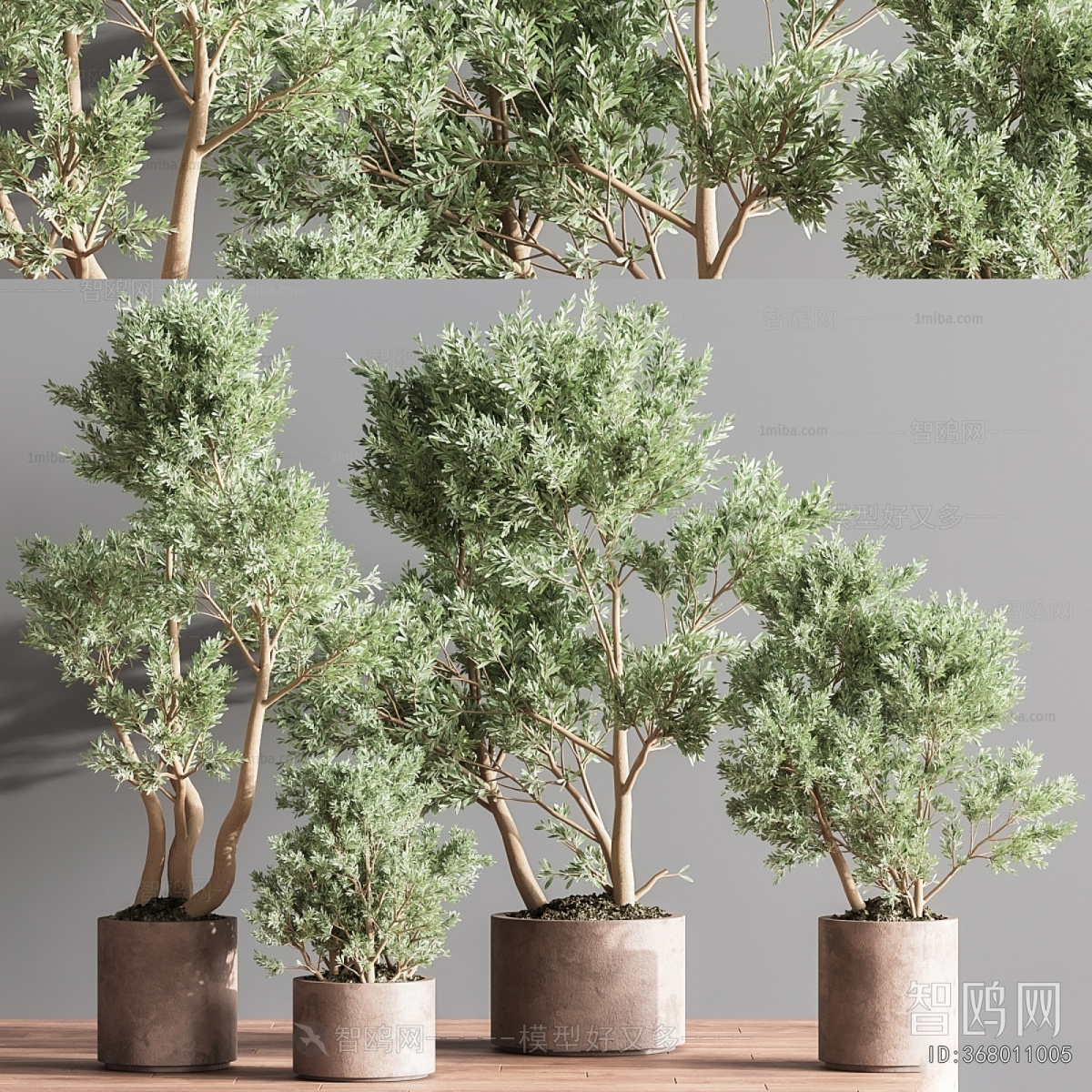 Modern Ground Green Plant Potted Plants