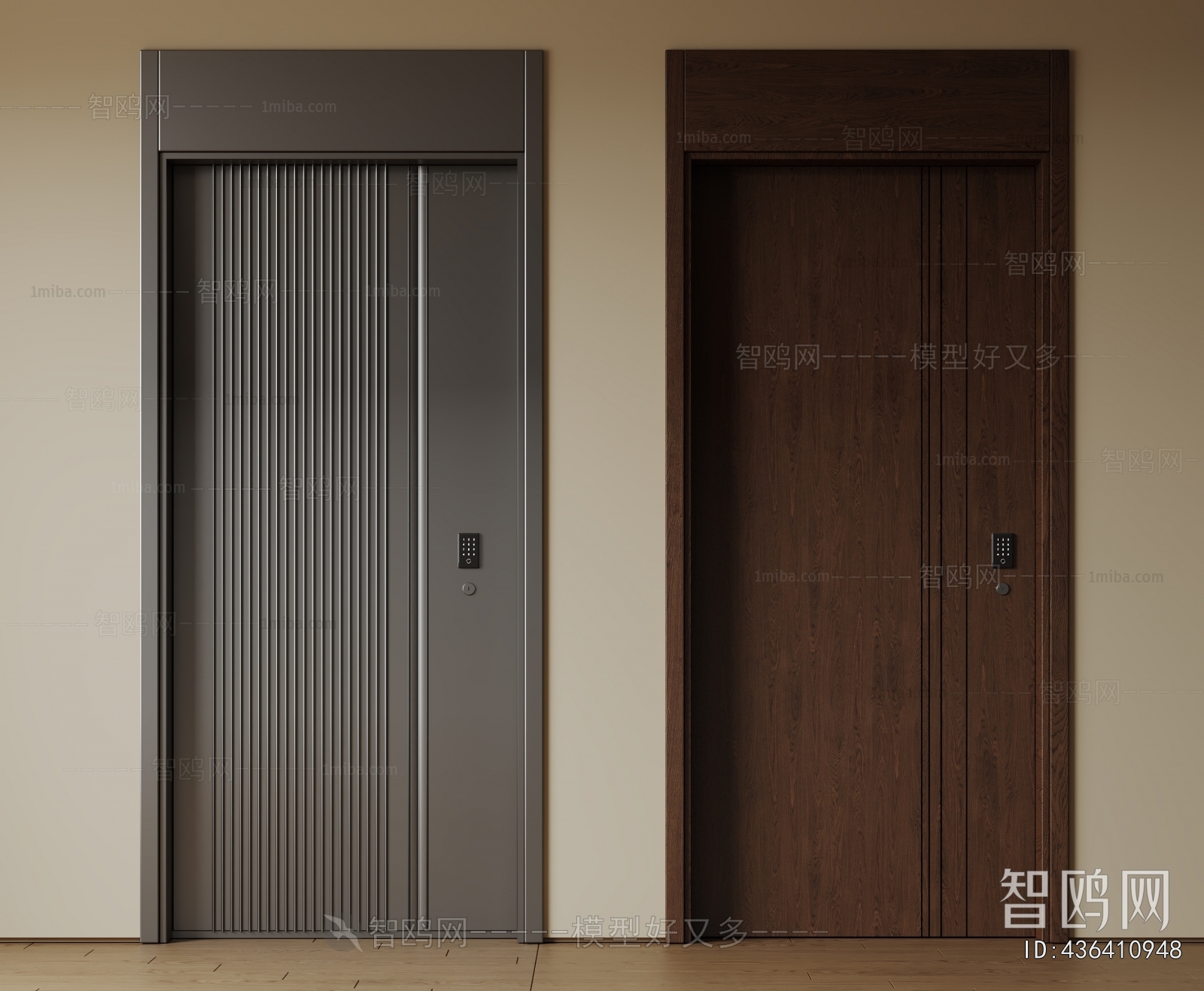 Modern Entrance Door