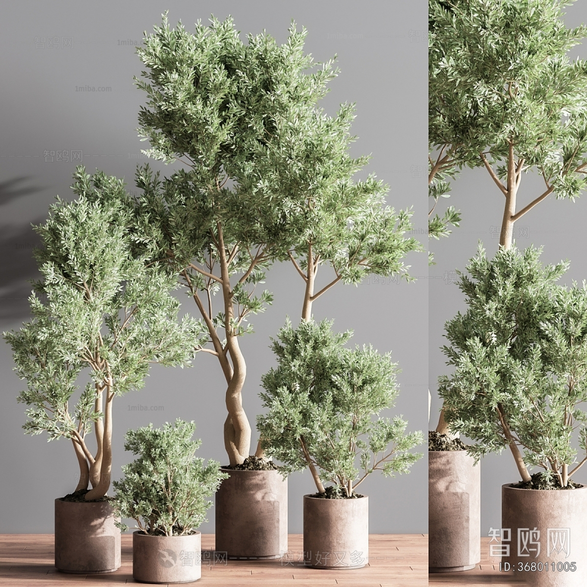 Modern Ground Green Plant Potted Plants