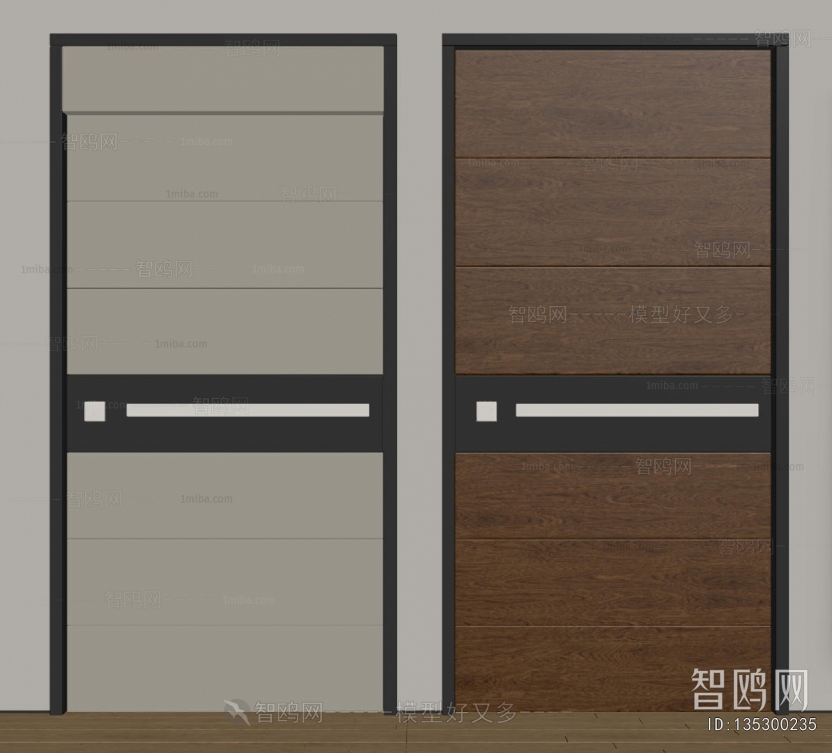 Modern Entrance Door