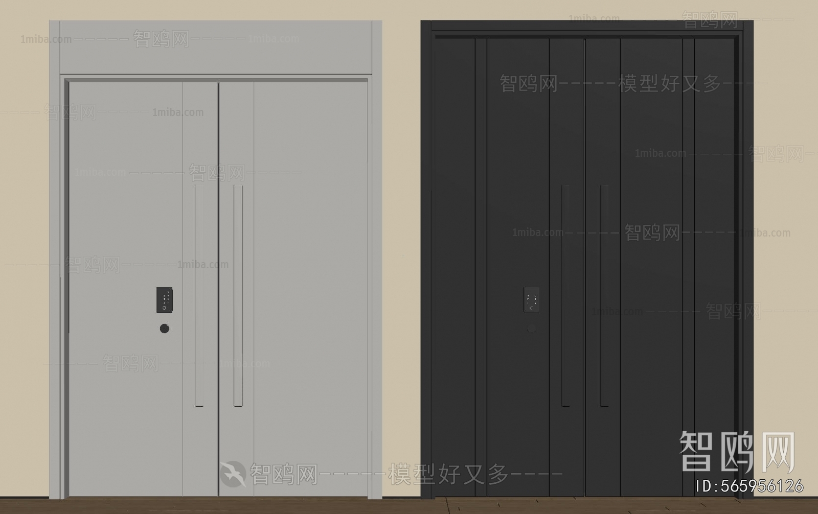 Modern Entrance Door