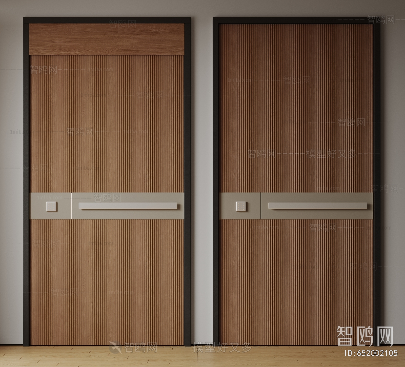 Modern Entrance Door