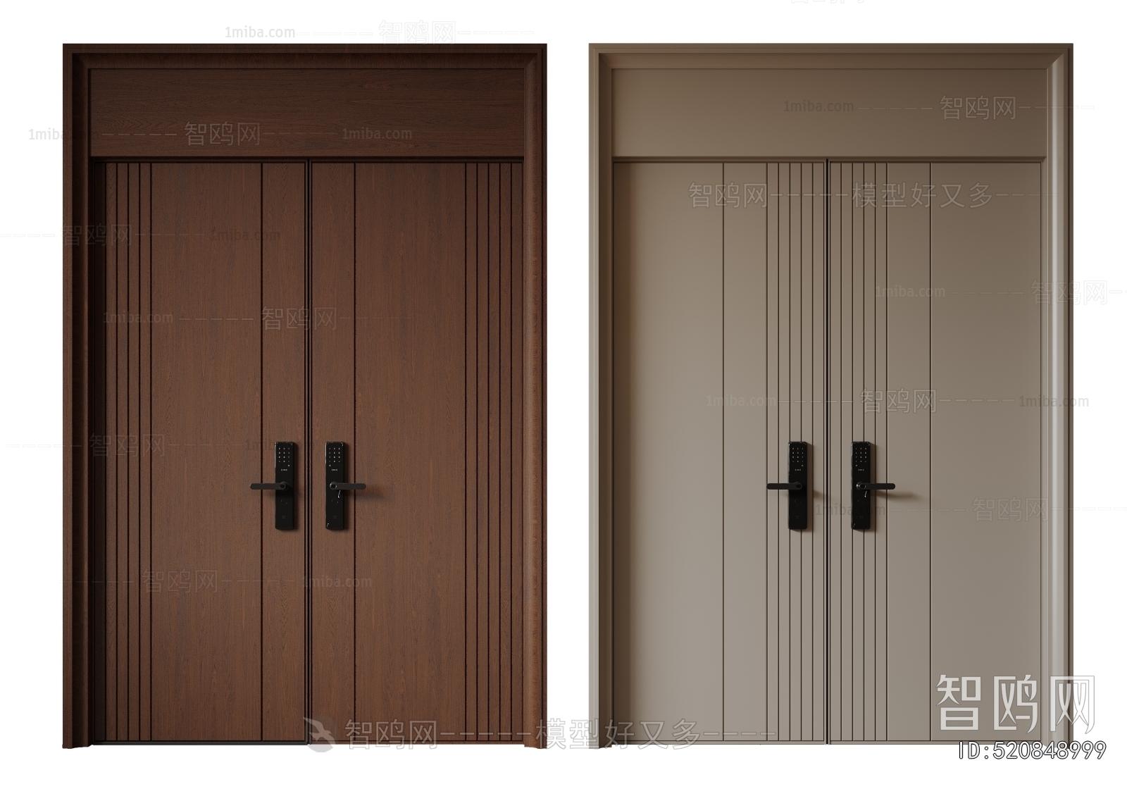 Modern Entrance Door