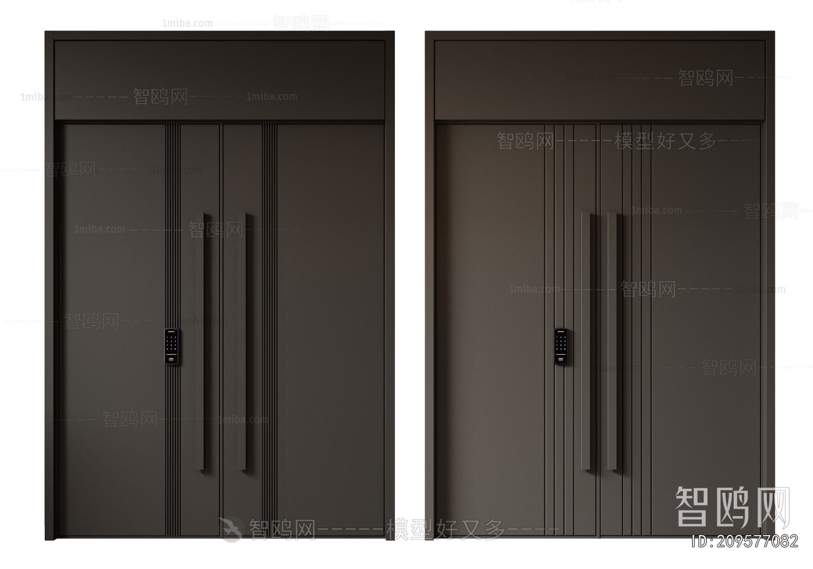 Modern Entrance Door