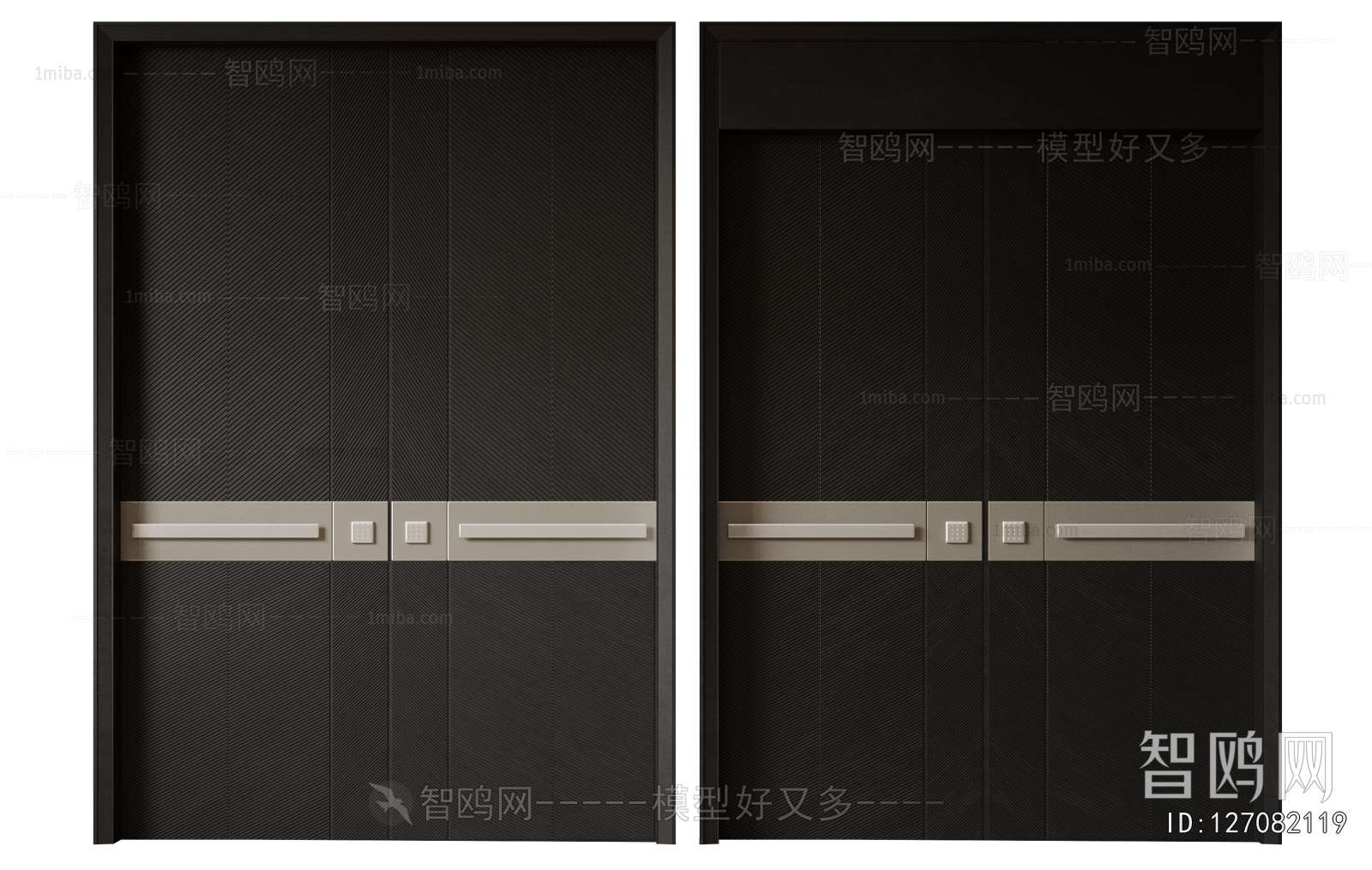 Modern Entrance Door