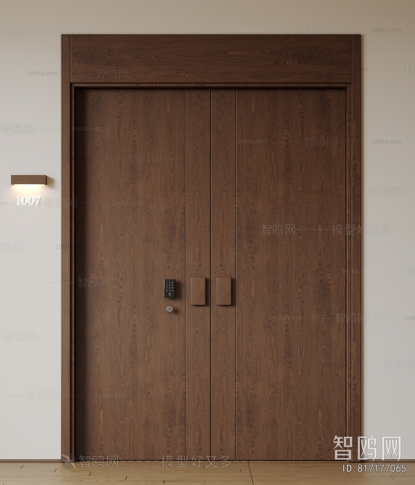 Modern Entrance Door