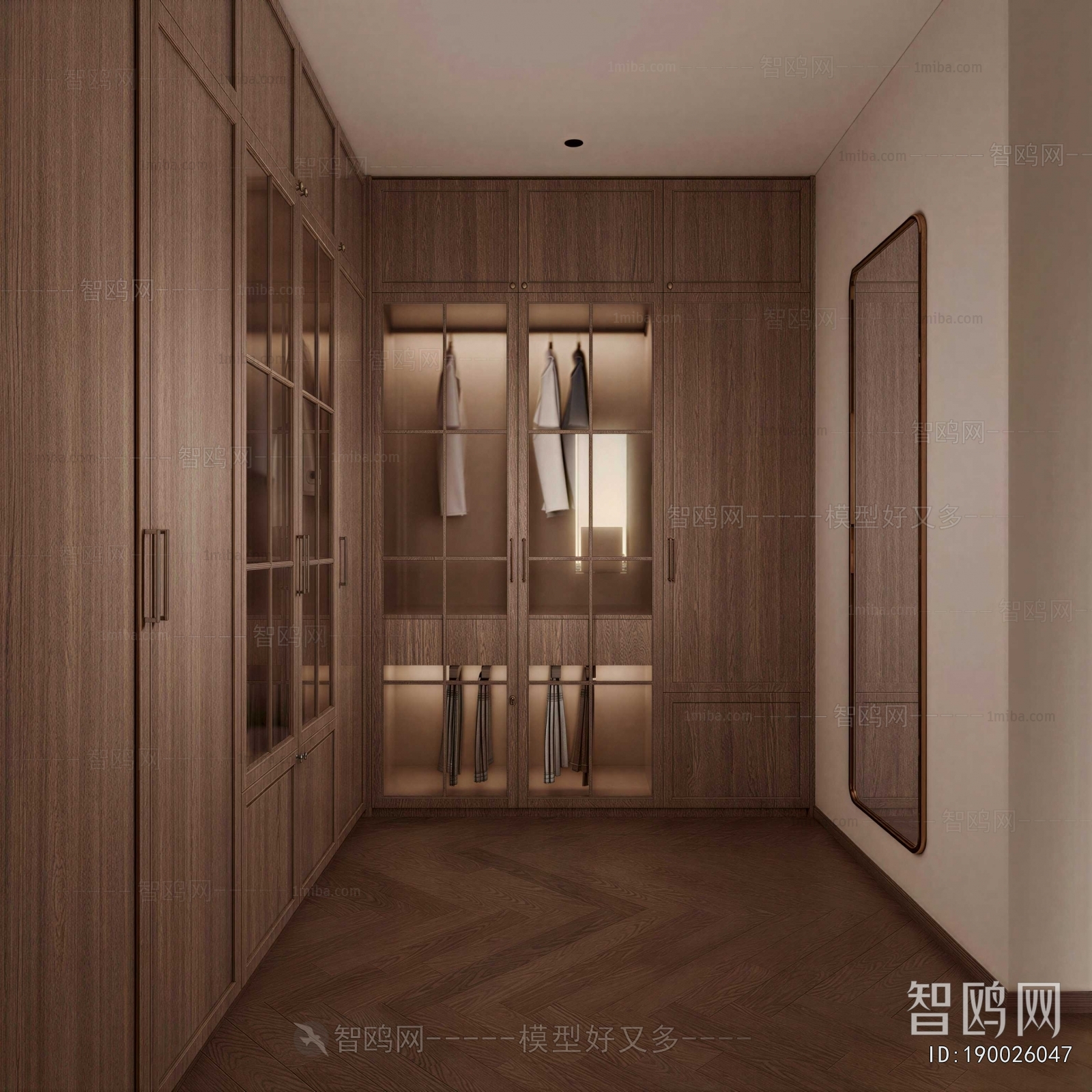 Modern Clothes Storage Area