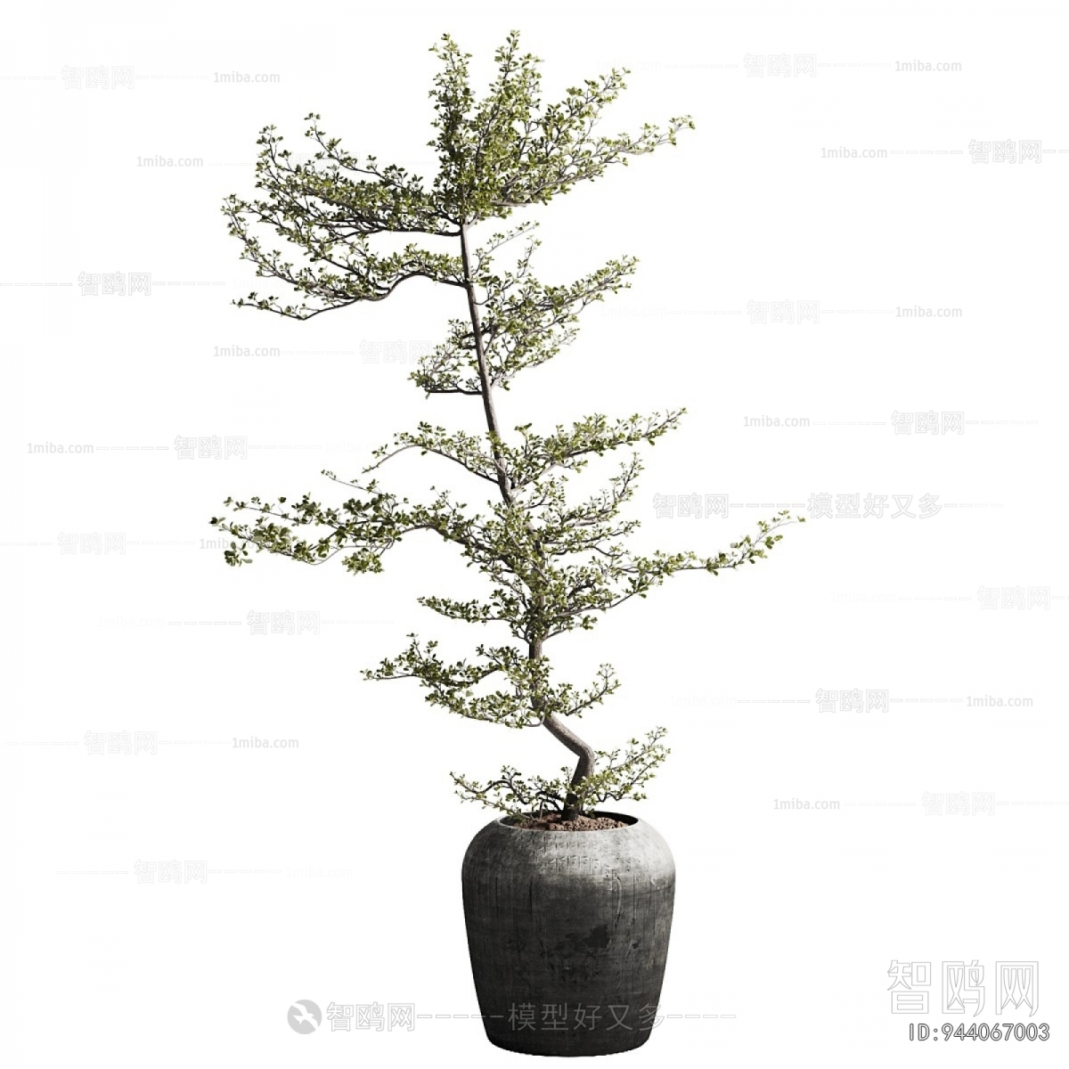 Wabi-sabi Style Ground Green Plant Potted Plants