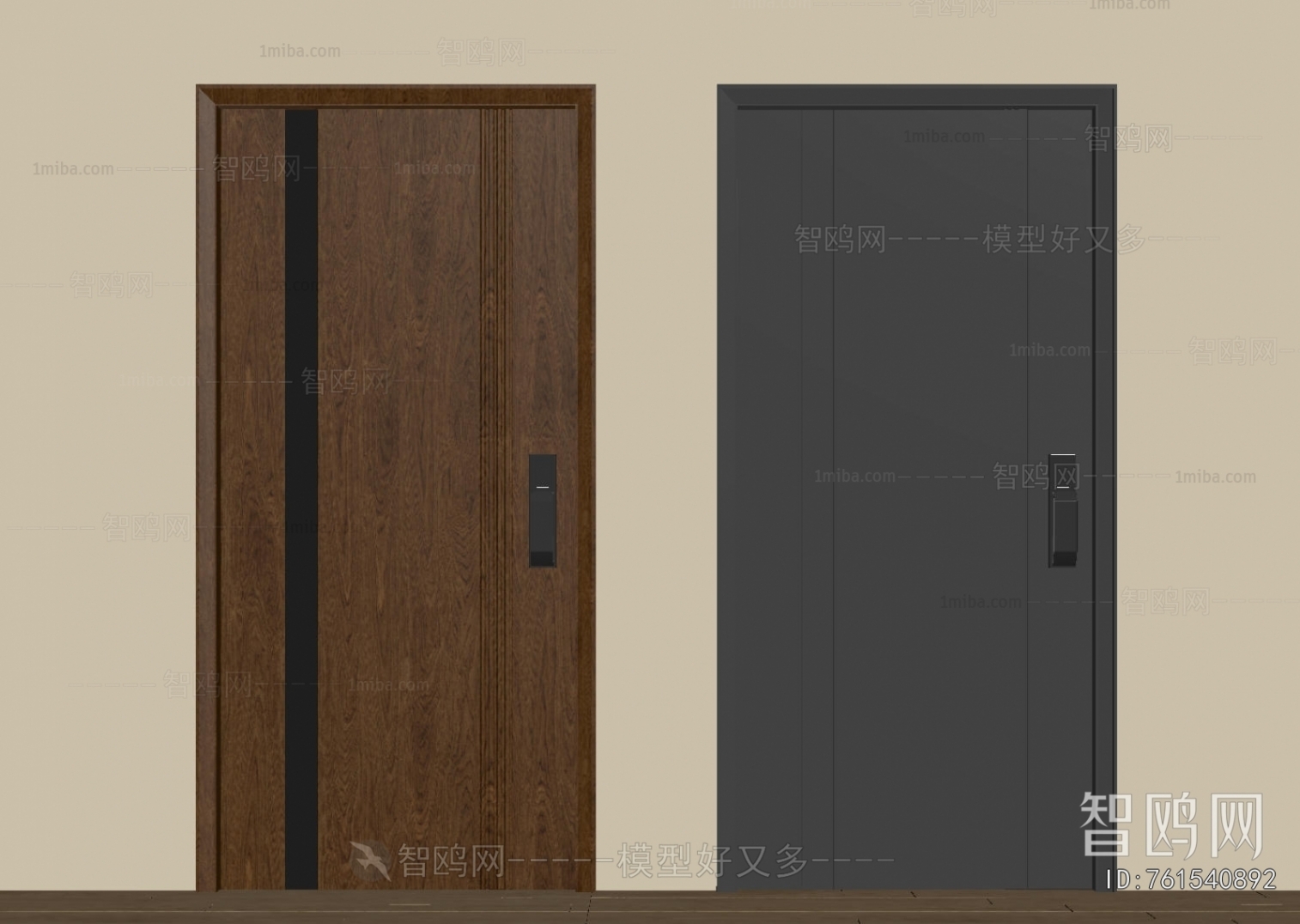 Modern Entrance Door
