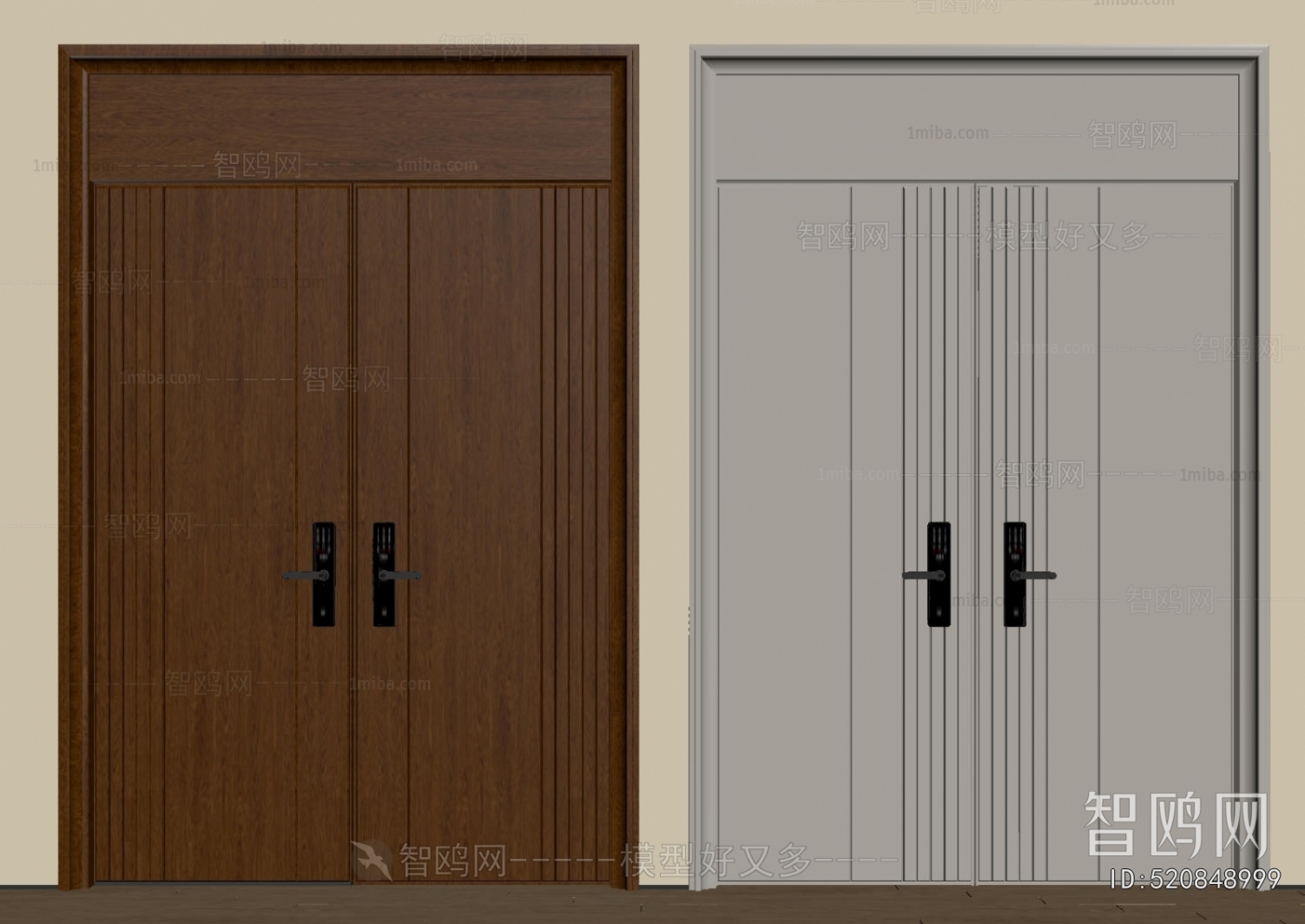 Modern Entrance Door