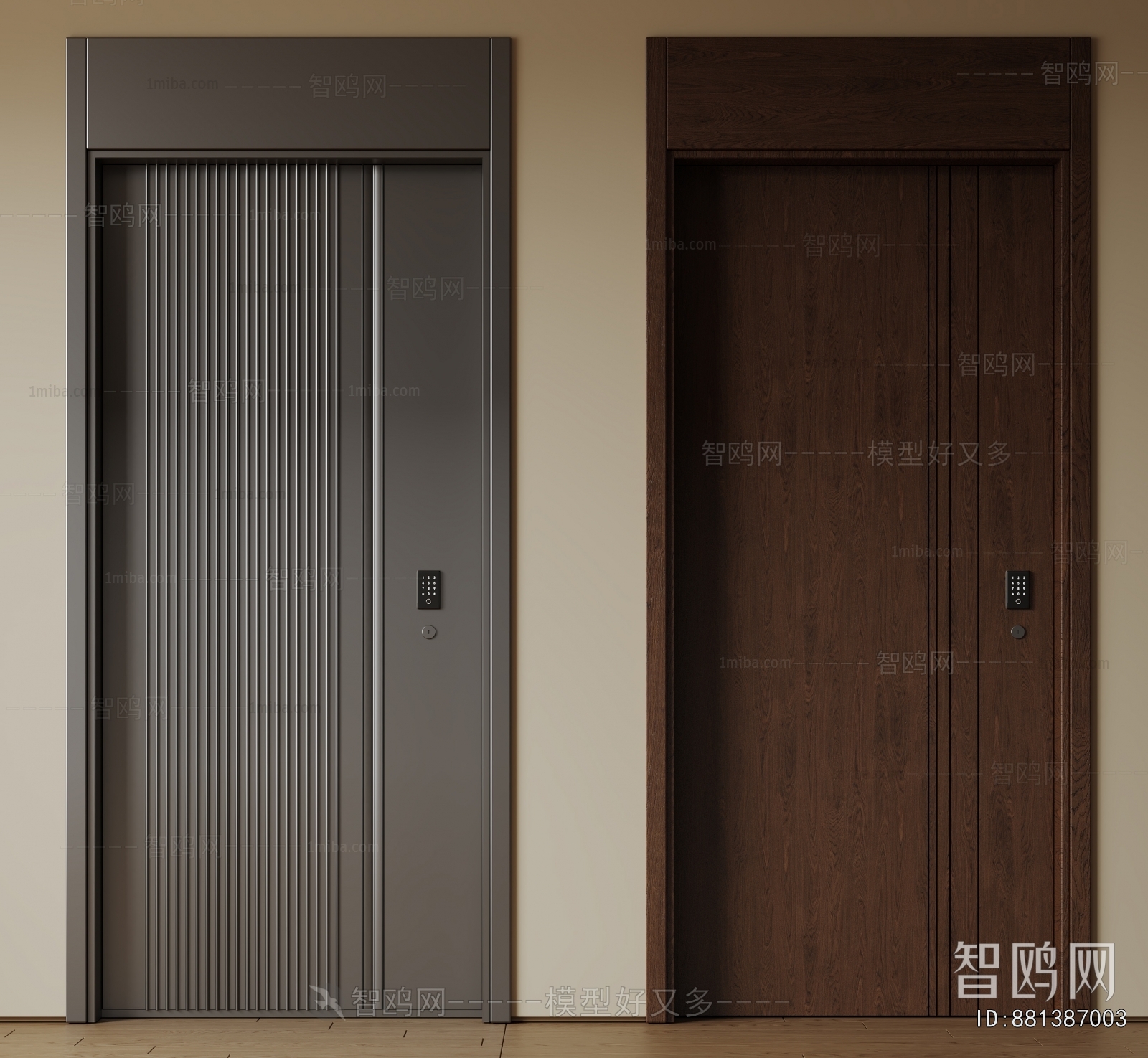 Modern Entrance Door