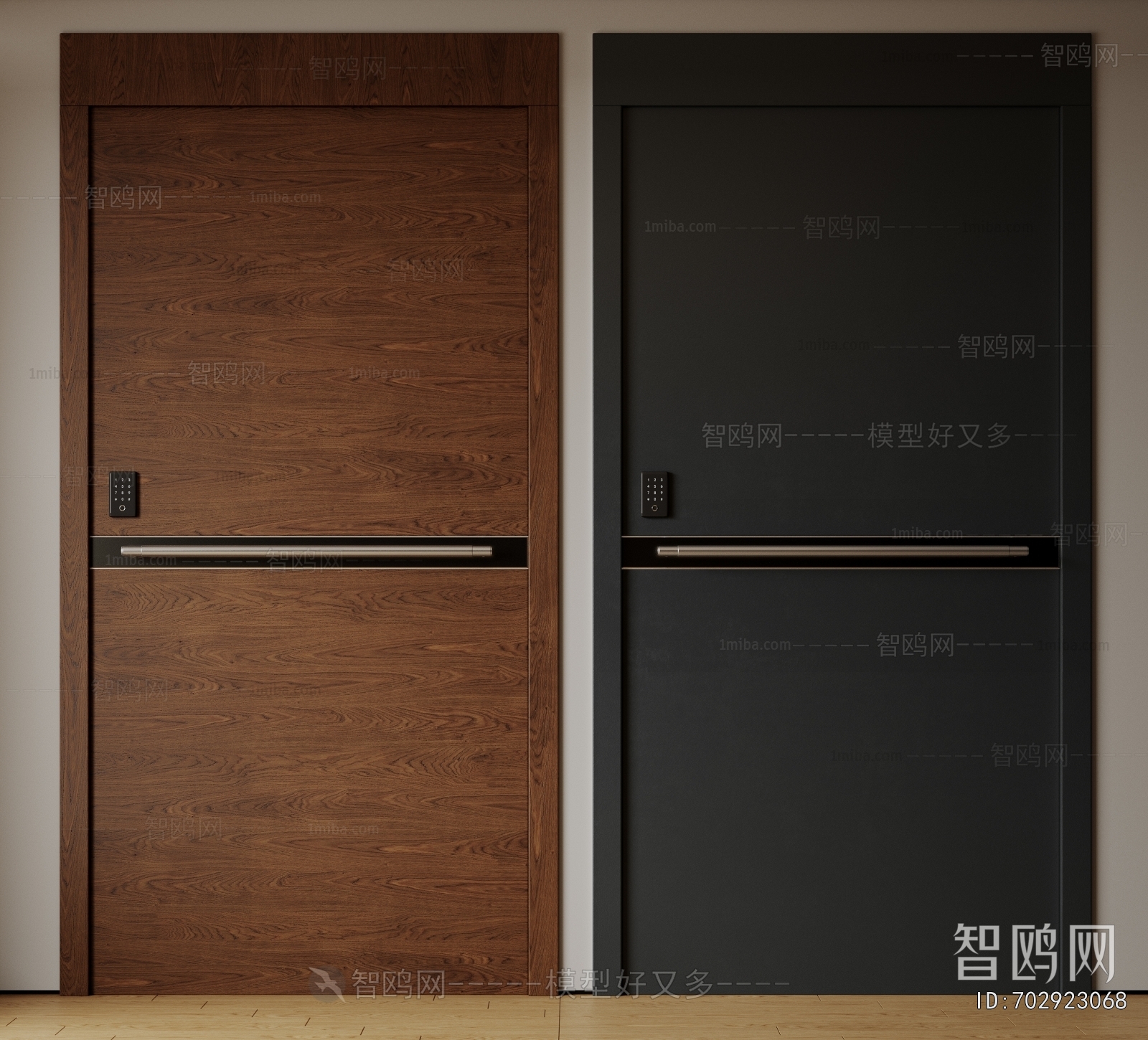 Modern Entrance Door