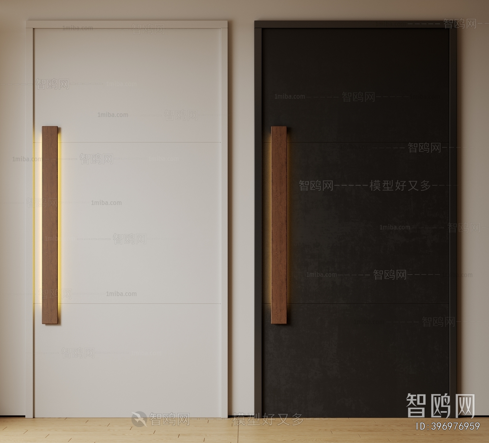 Modern Entrance Door