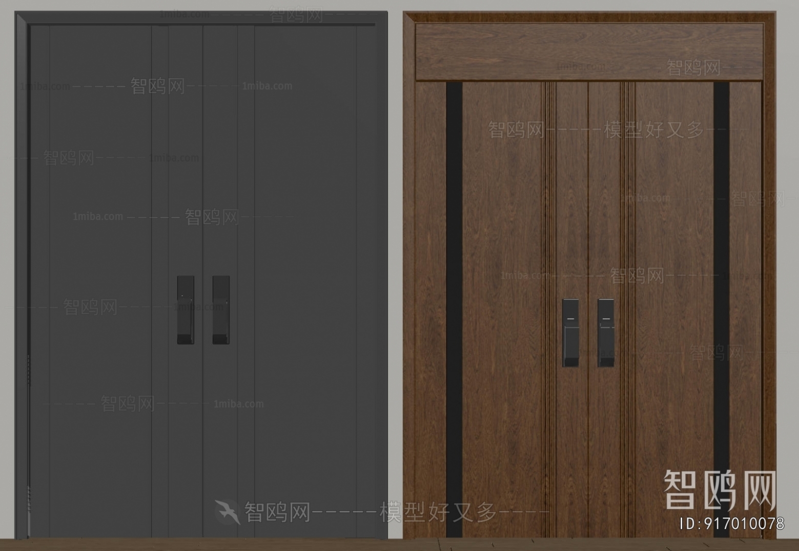 Modern Entrance Door