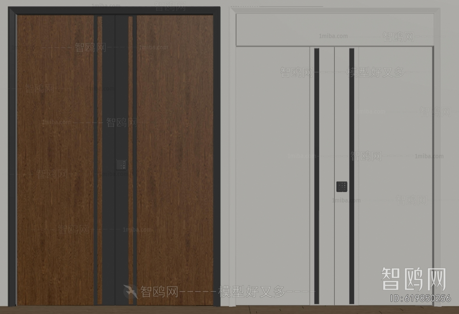 Modern Entrance Door