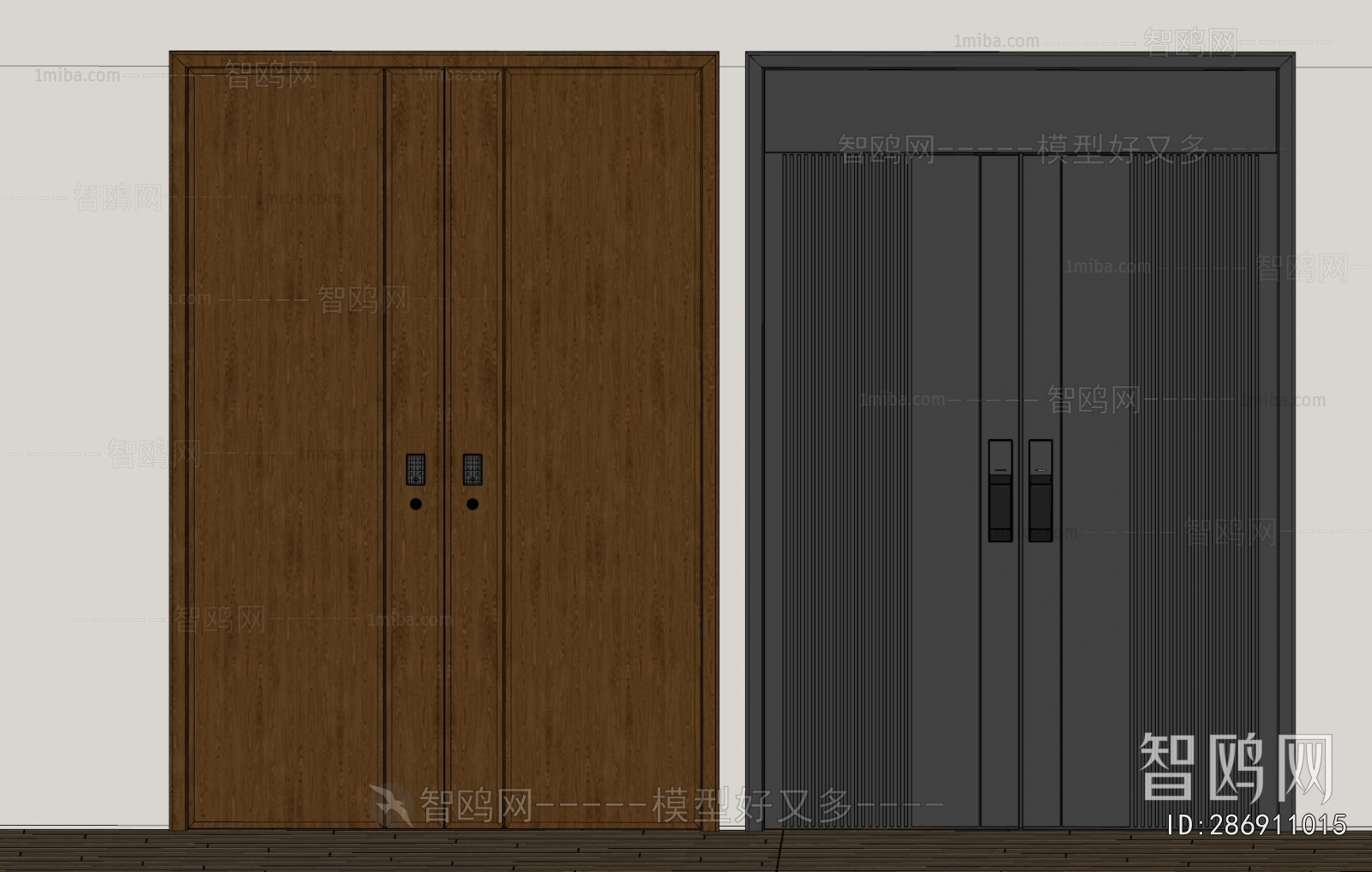 Modern Entrance Door