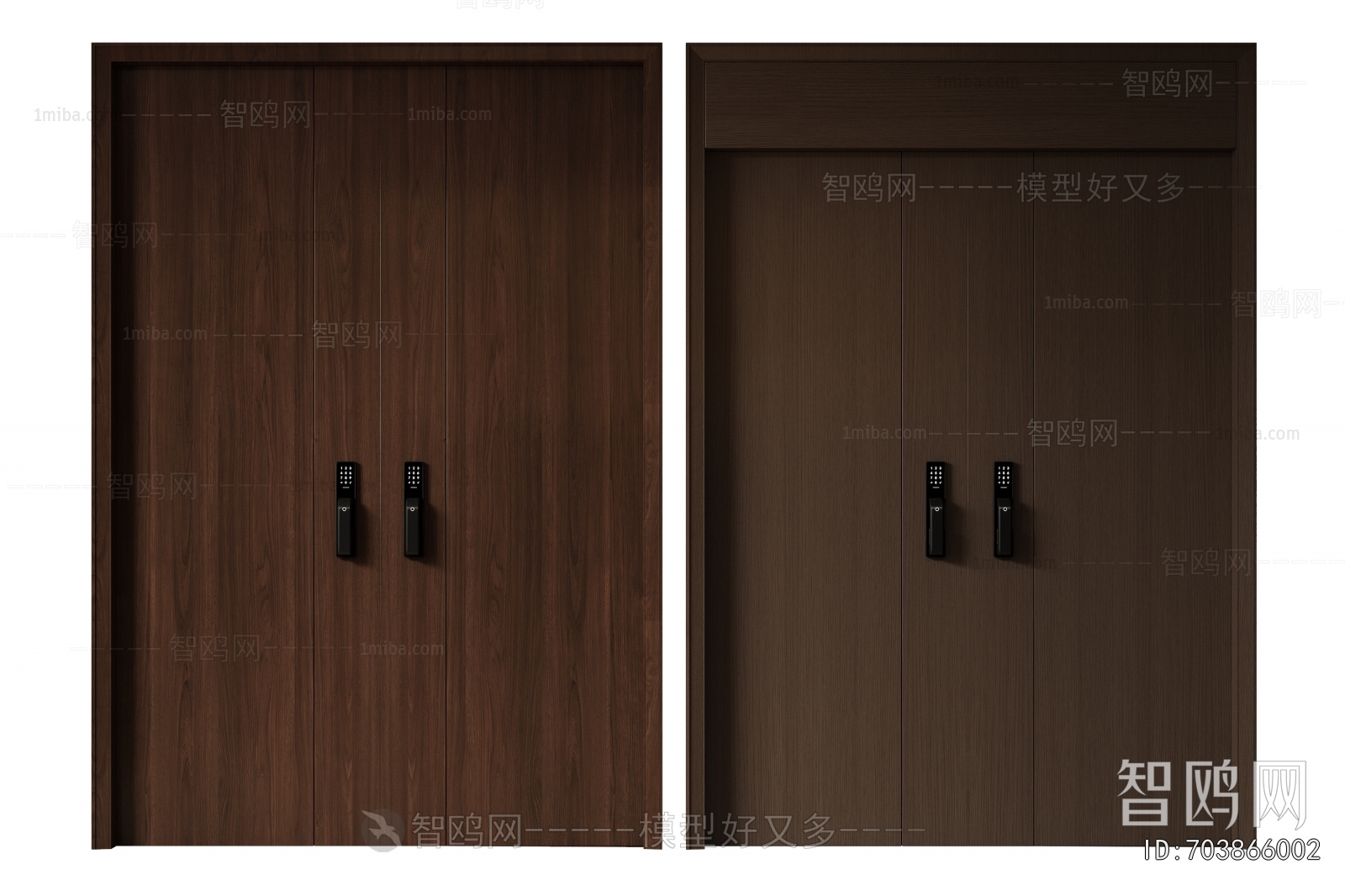 Modern Entrance Door