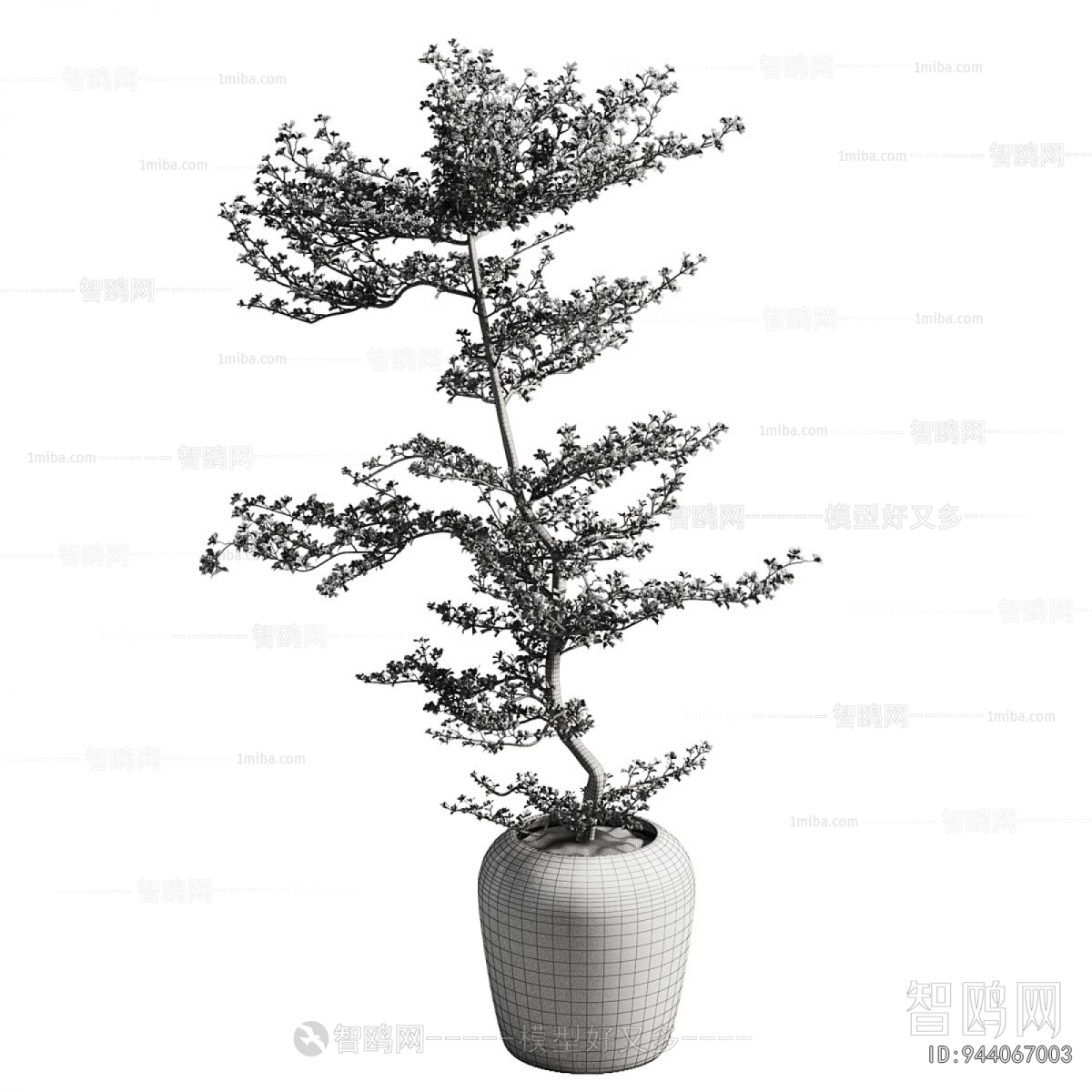 Wabi-sabi Style Ground Green Plant Potted Plants