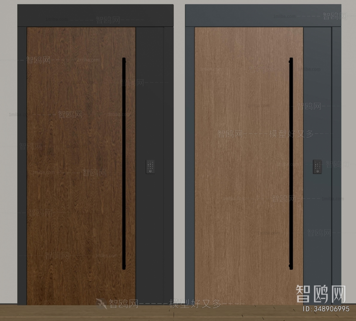 Modern Entrance Door