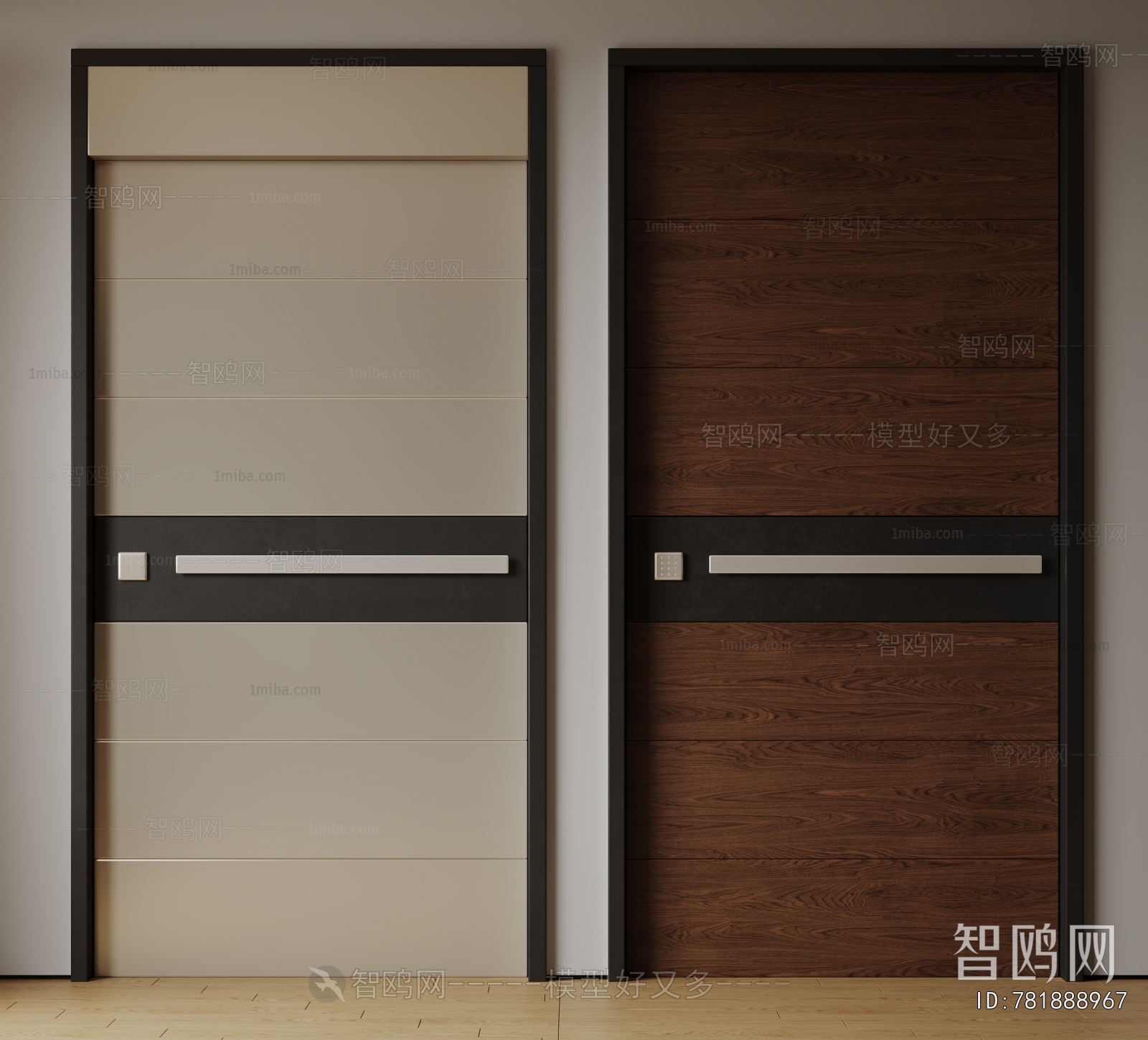 Modern Entrance Door