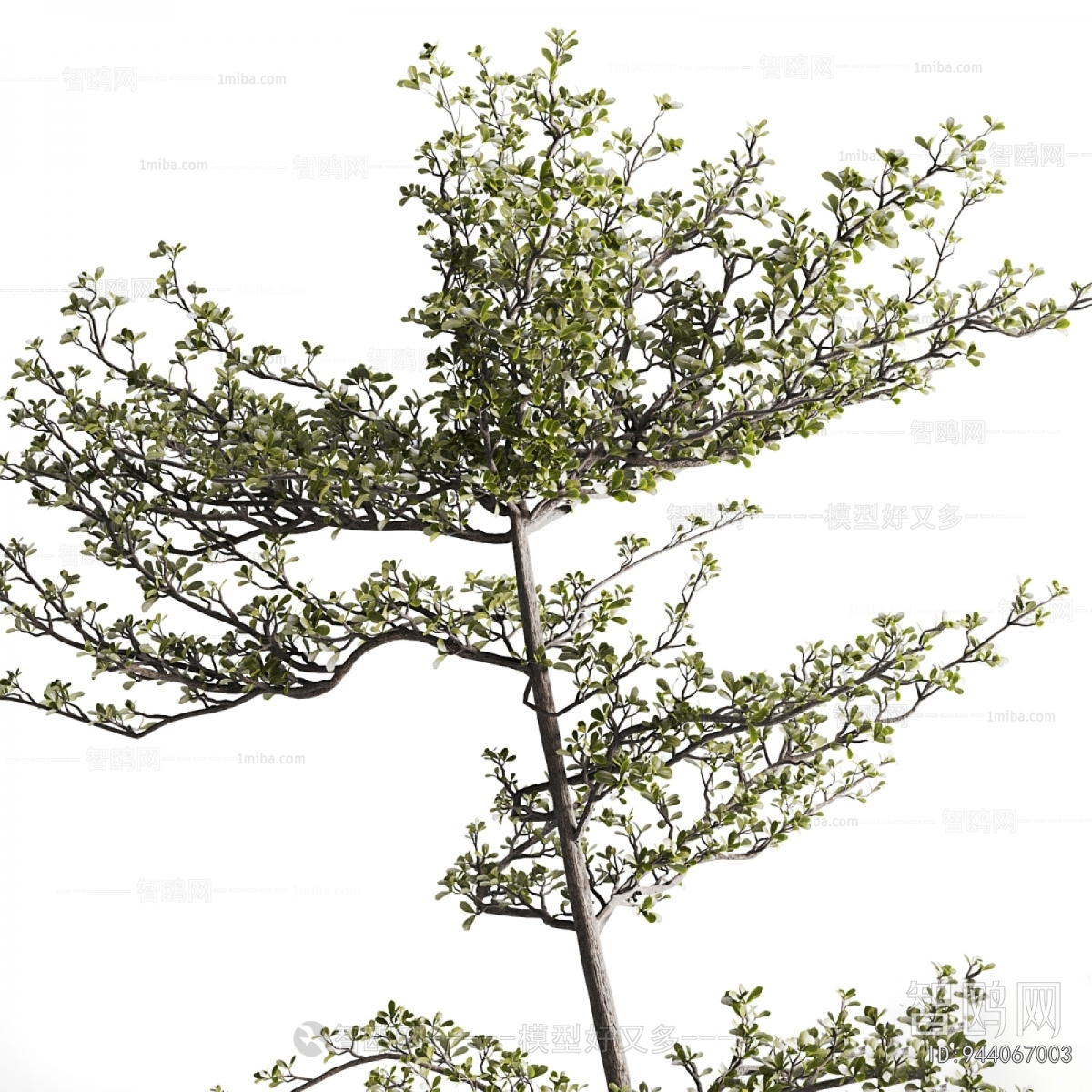 Wabi-sabi Style Ground Green Plant Potted Plants