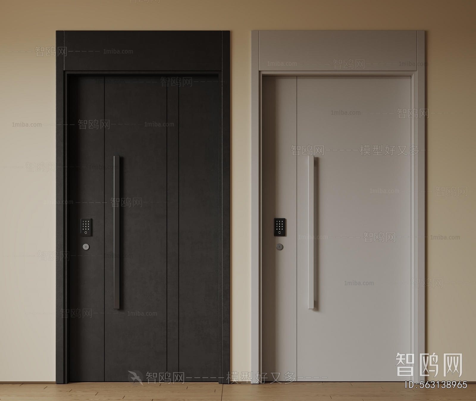 Modern Entrance Door
