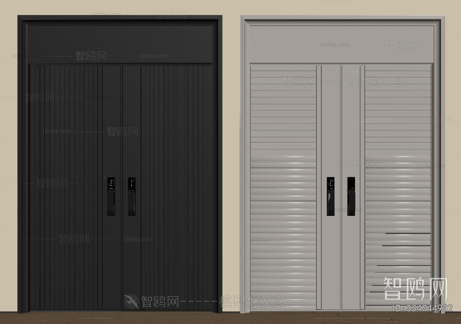 Modern Entrance Door