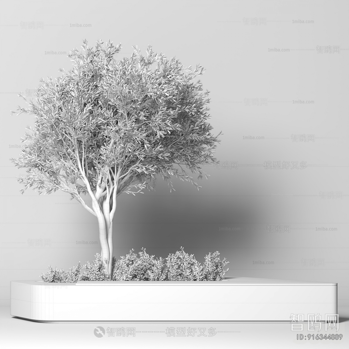 Modern Flower Bed, Flower Bowl, Flower Box