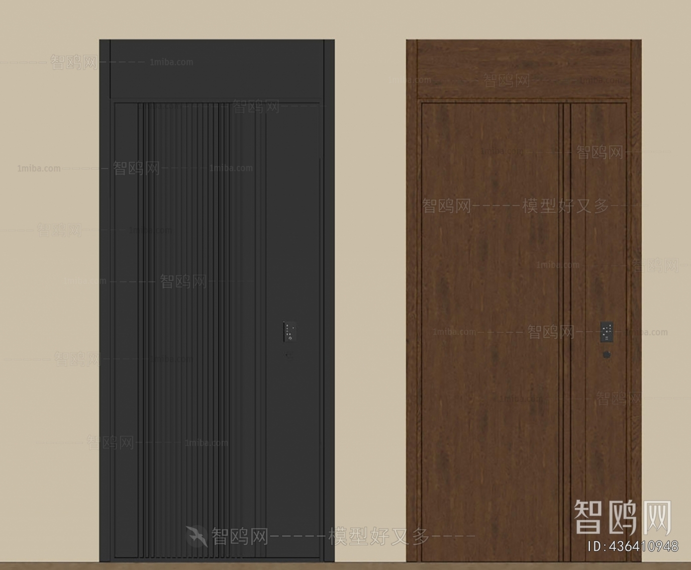 Modern Entrance Door