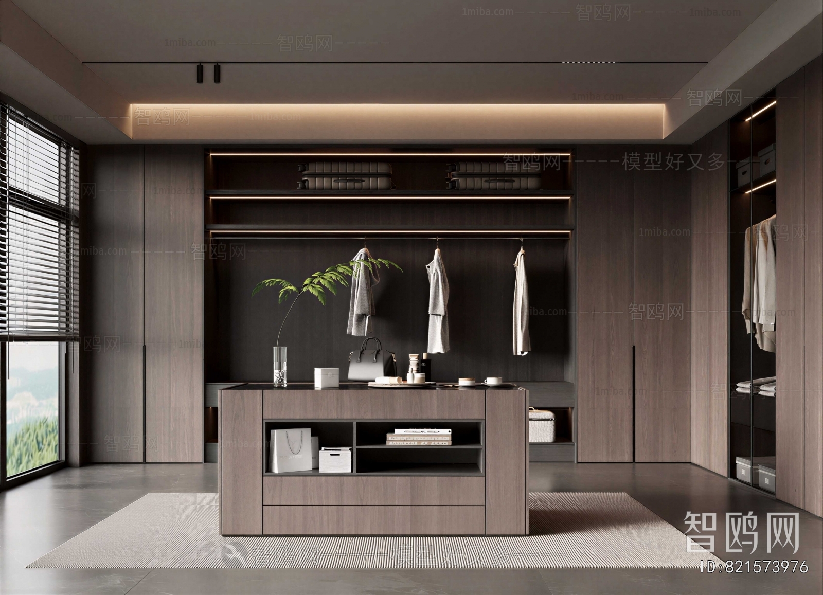 Modern Clothes Storage Area