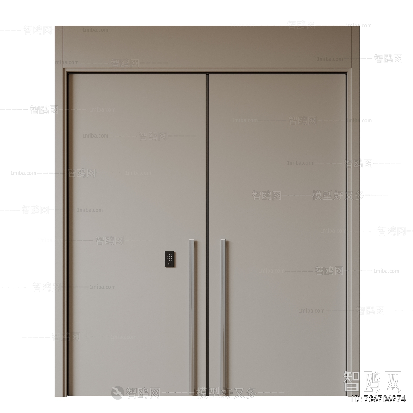 Modern Entrance Door