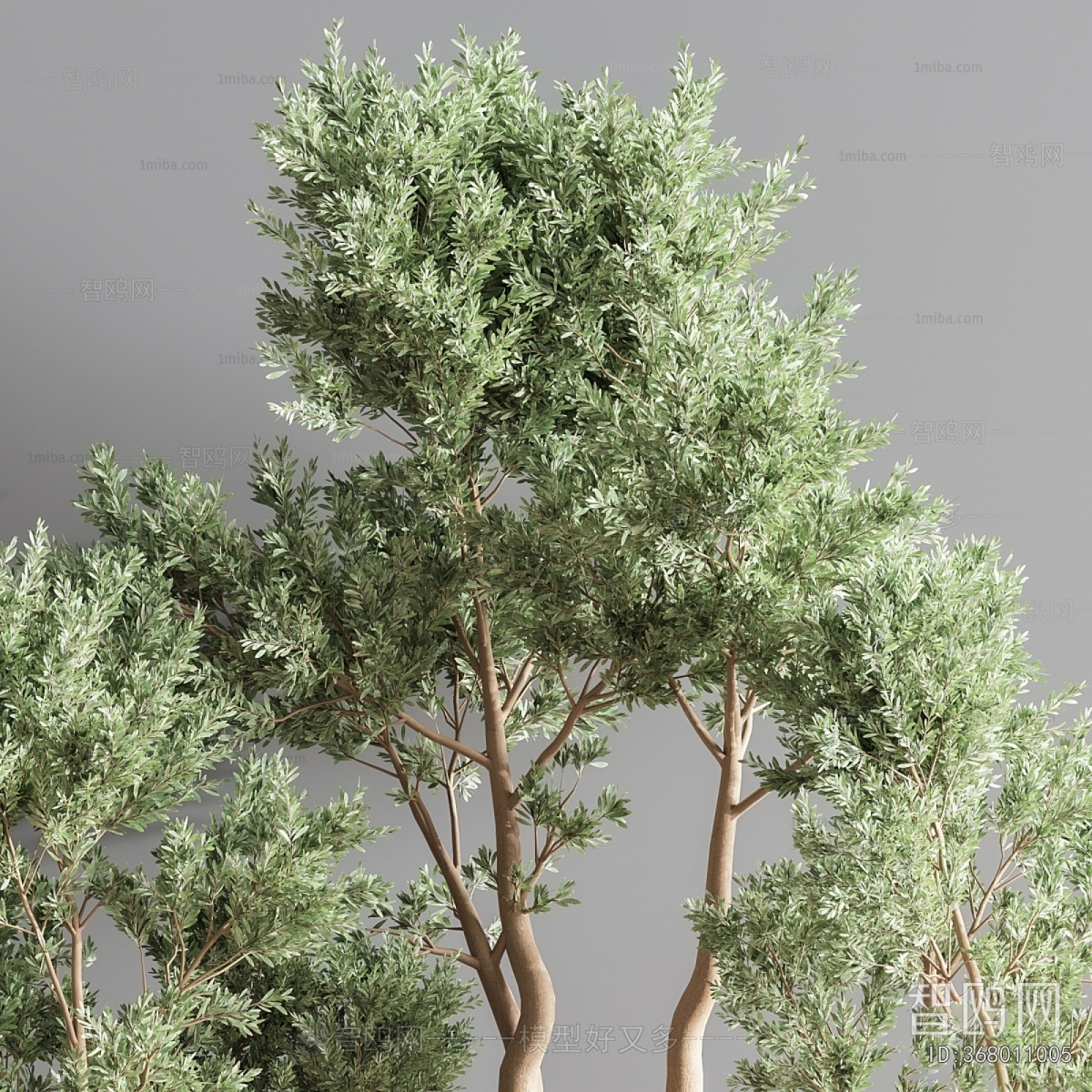 Modern Ground Green Plant Potted Plants