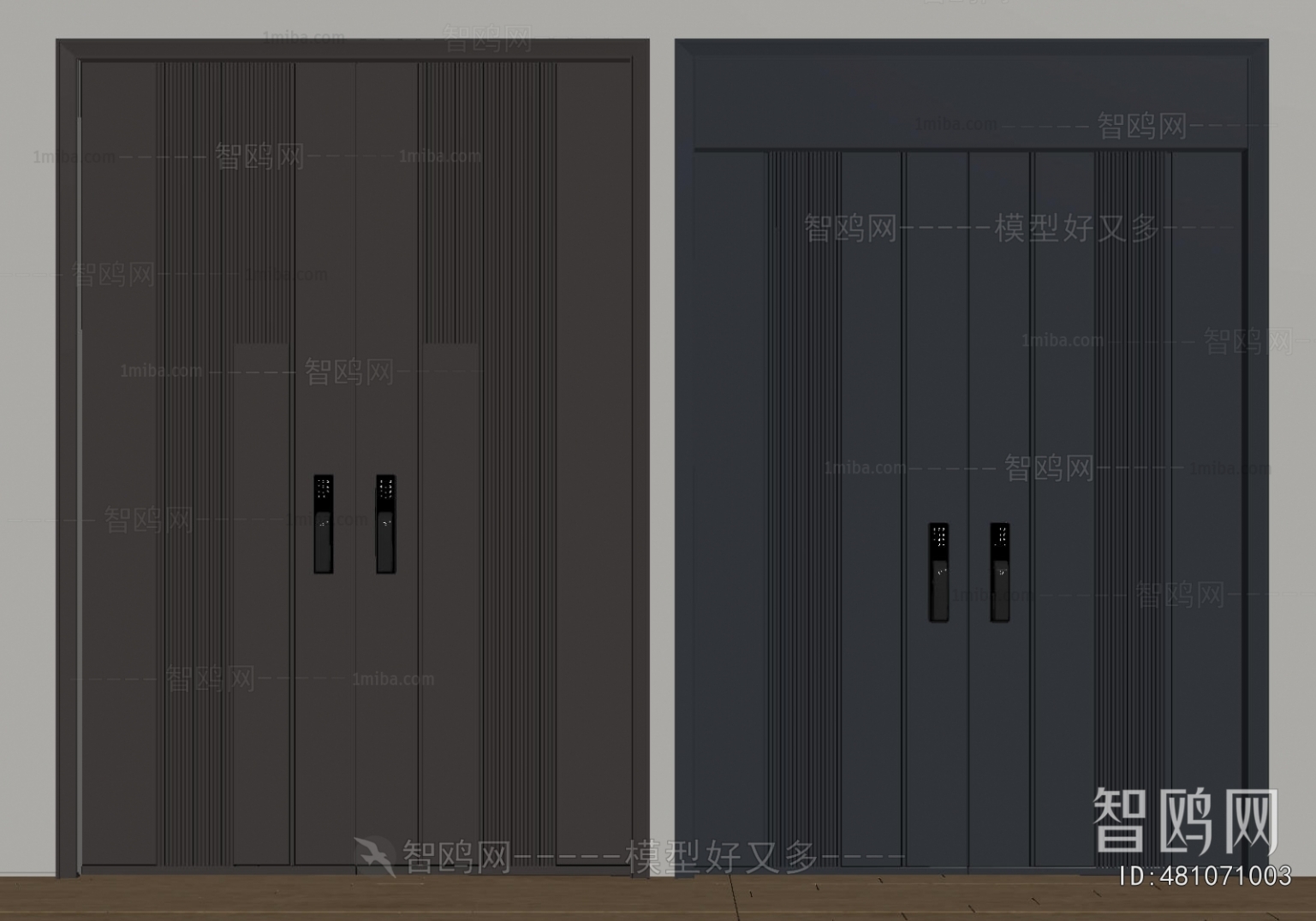 Modern Entrance Door