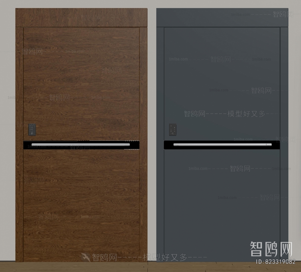 Modern Entrance Door