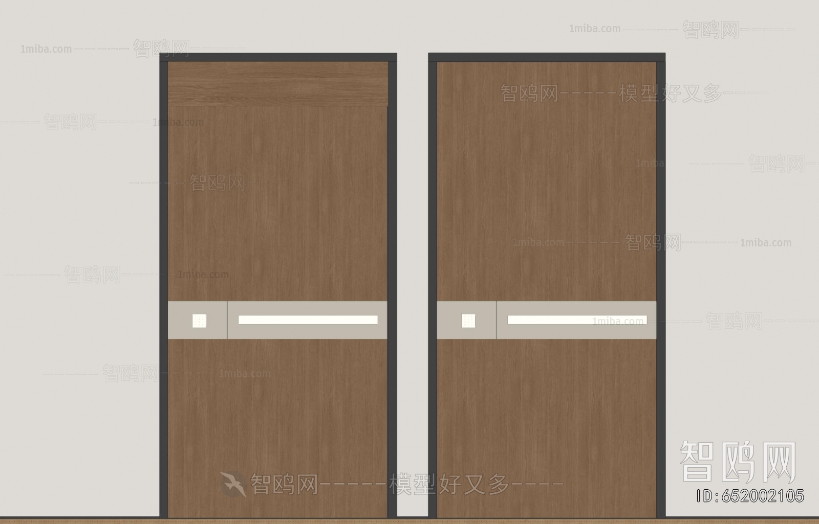 Modern Entrance Door