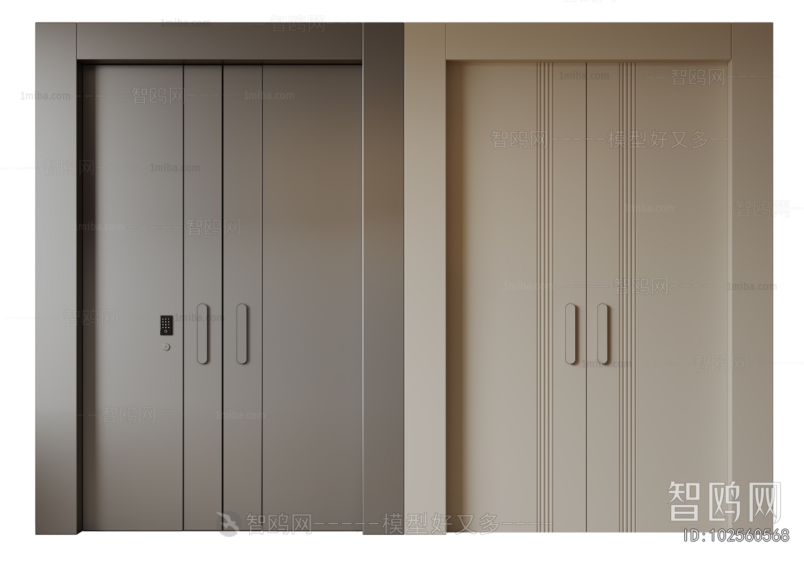 Modern Entrance Door