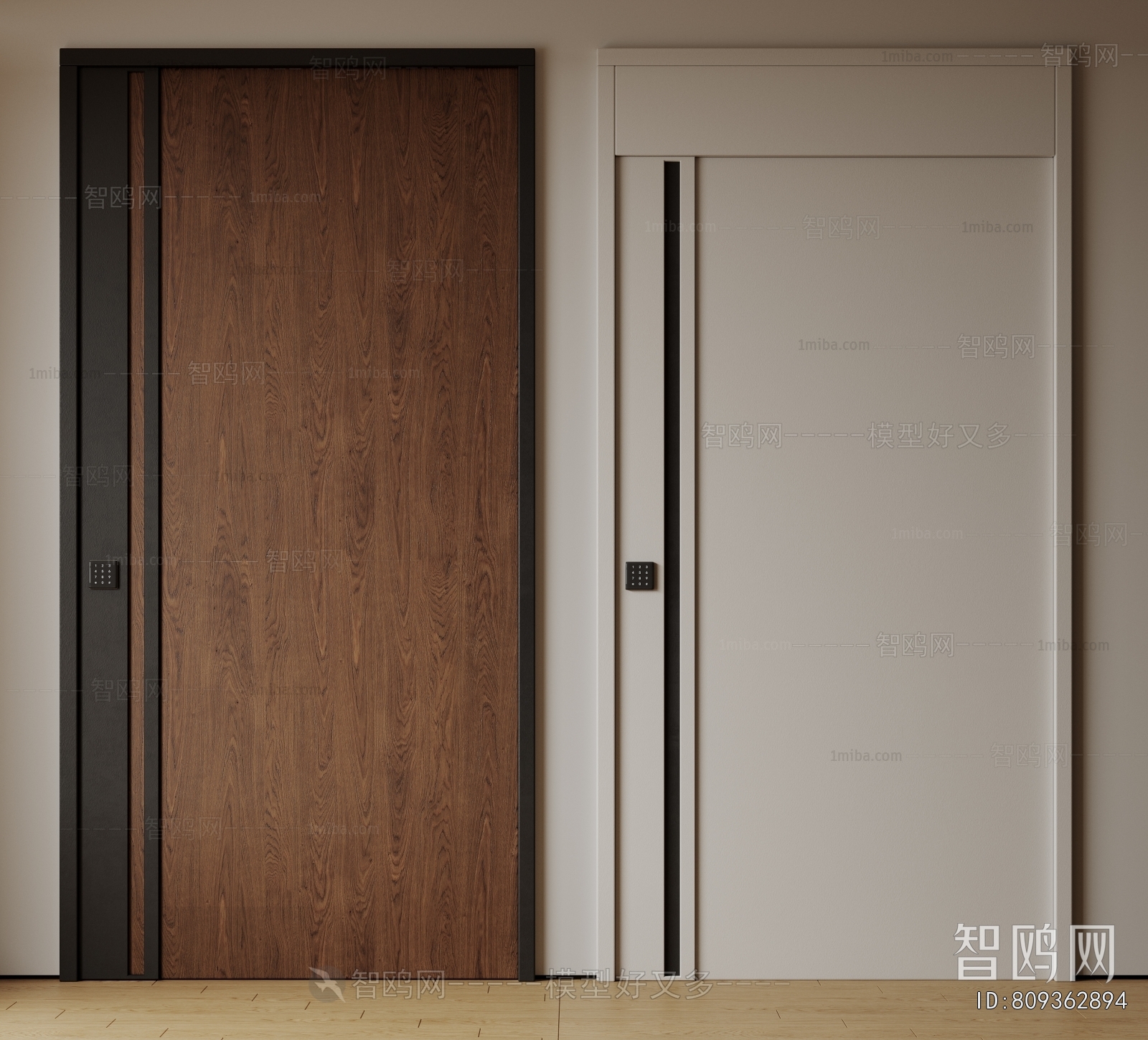 Modern Entrance Door