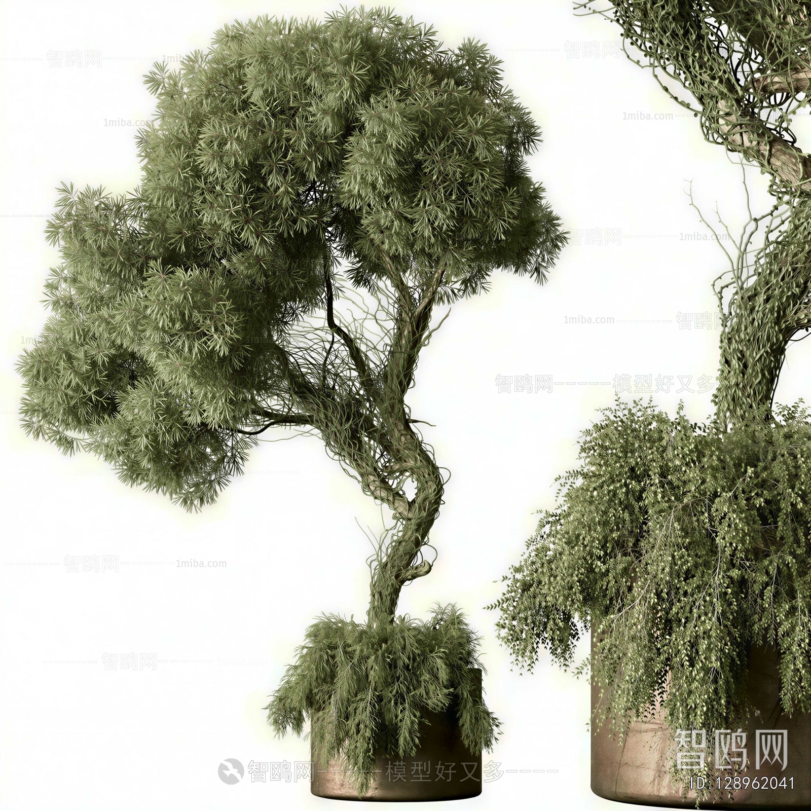 Modern Ground Green Plant Potted Plants