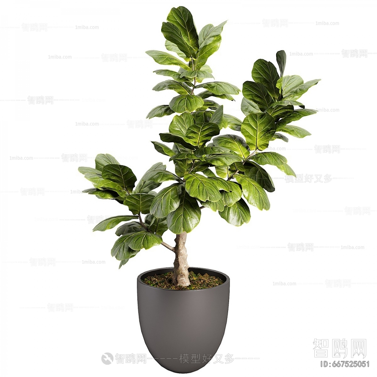 Modern Ground Green Plant Potted Plants
