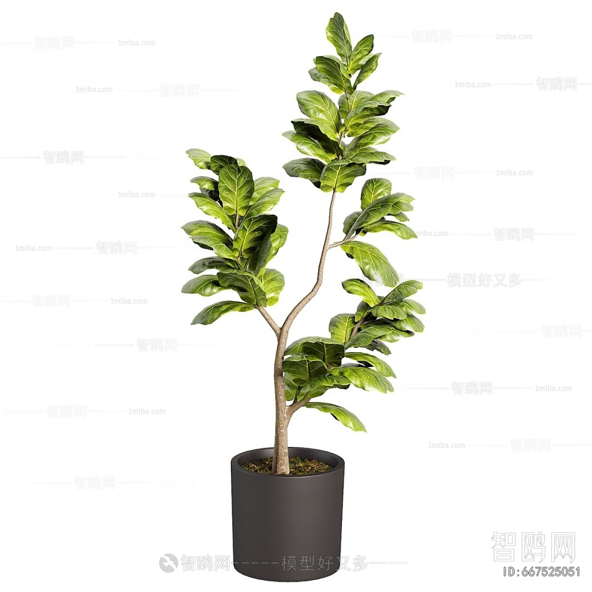 Modern Ground Green Plant Potted Plants