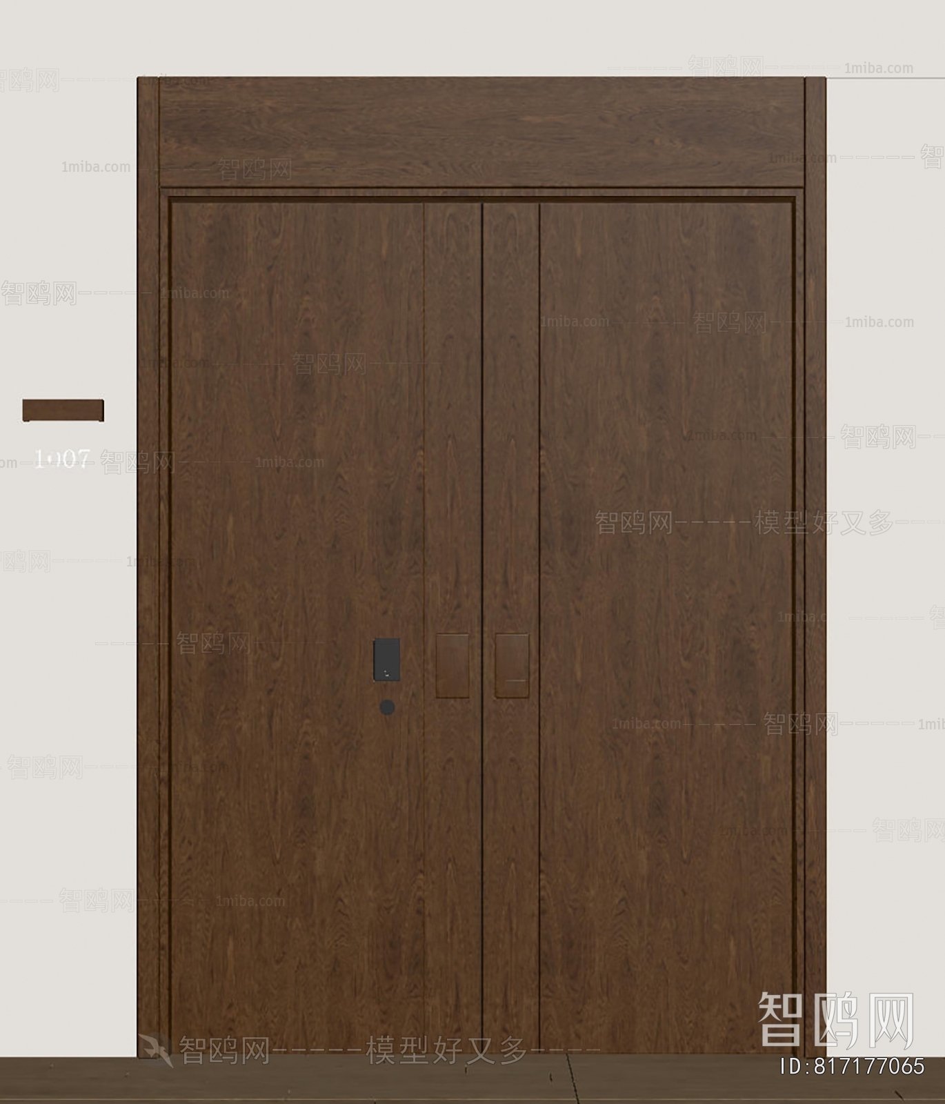 Modern Entrance Door