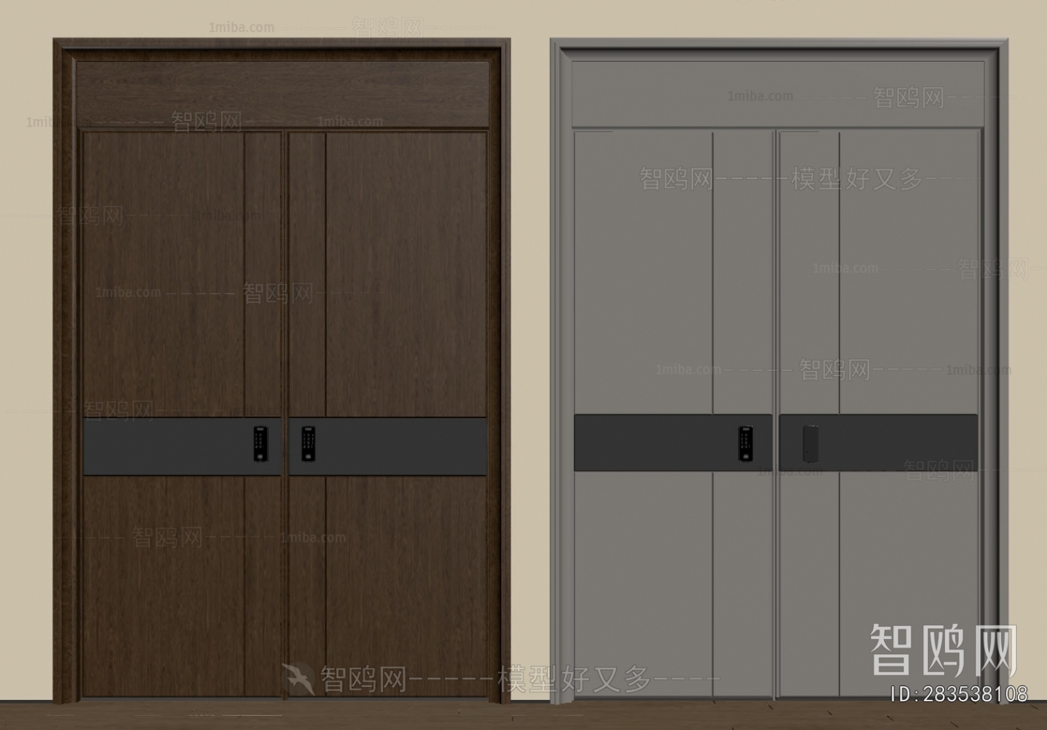 Modern Entrance Door