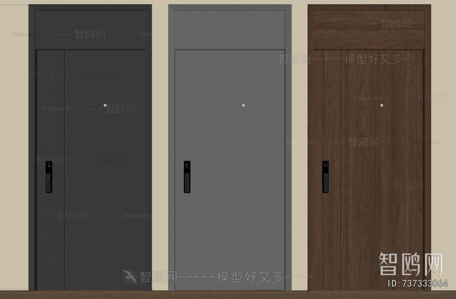 Modern Entrance Door