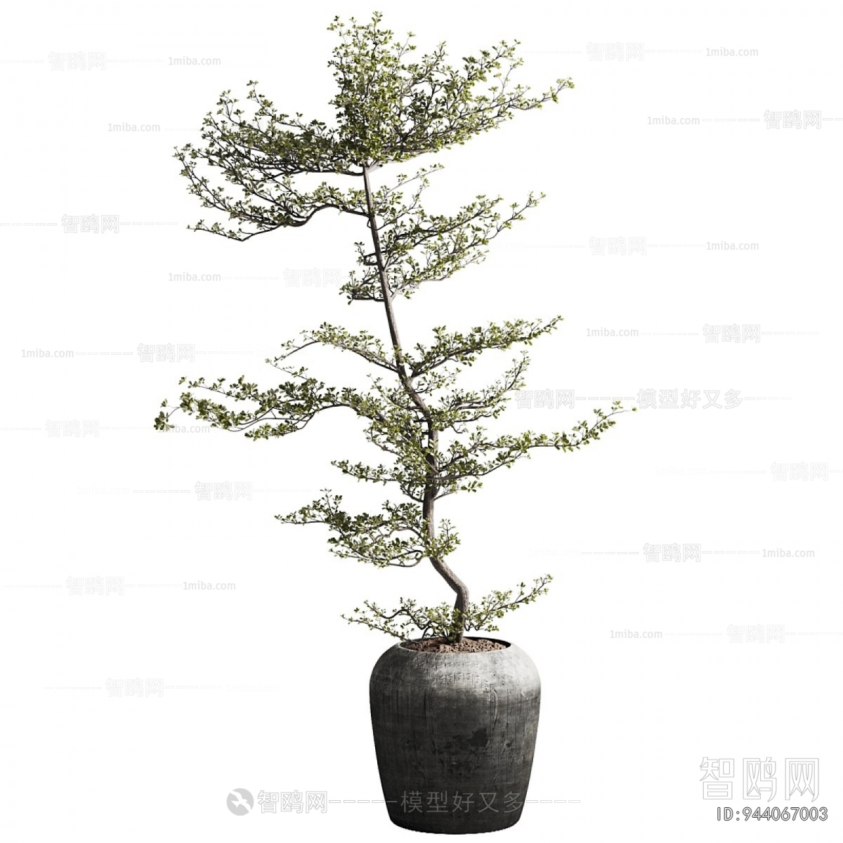 Wabi-sabi Style Ground Green Plant Potted Plants