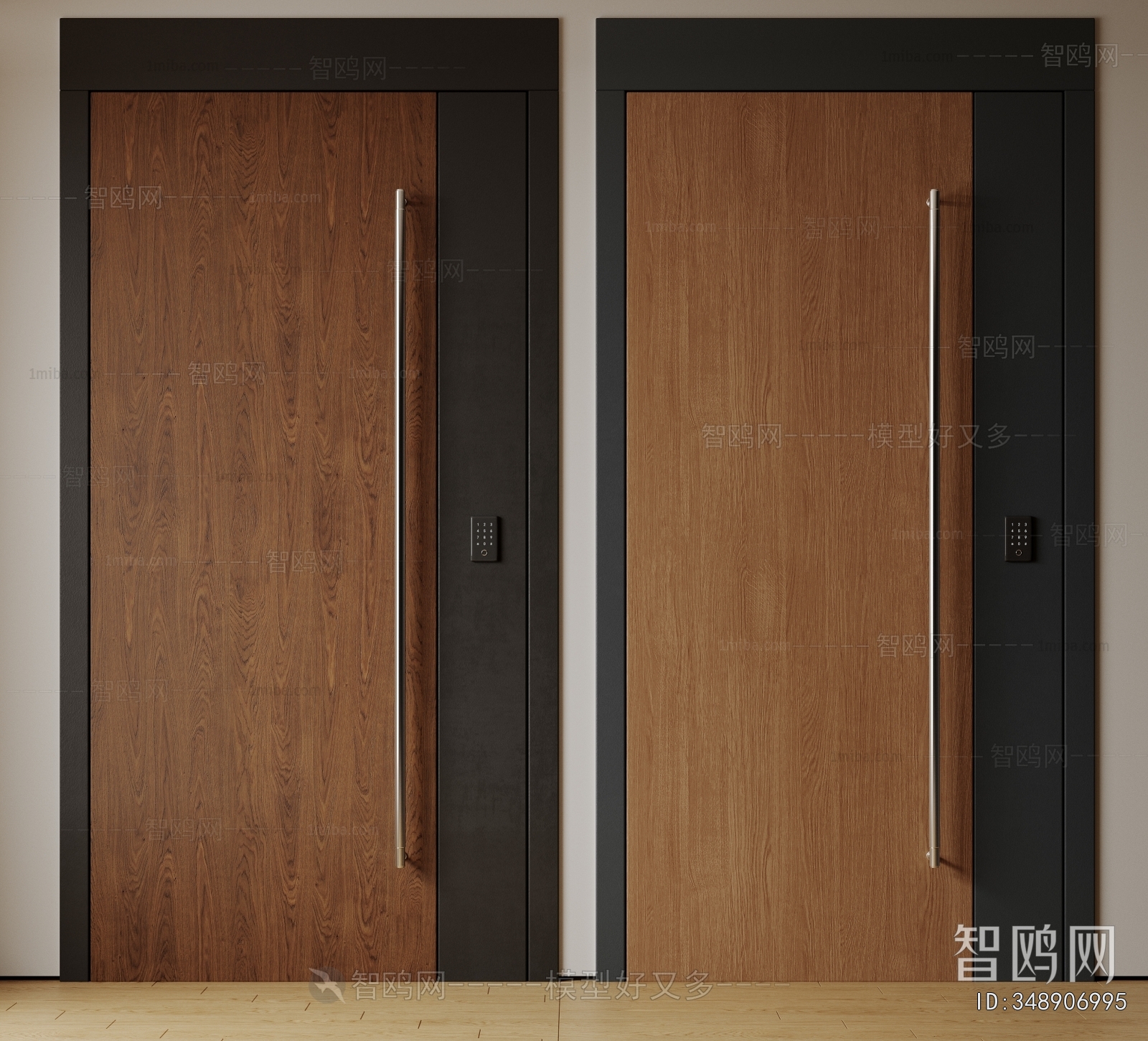 Modern Entrance Door